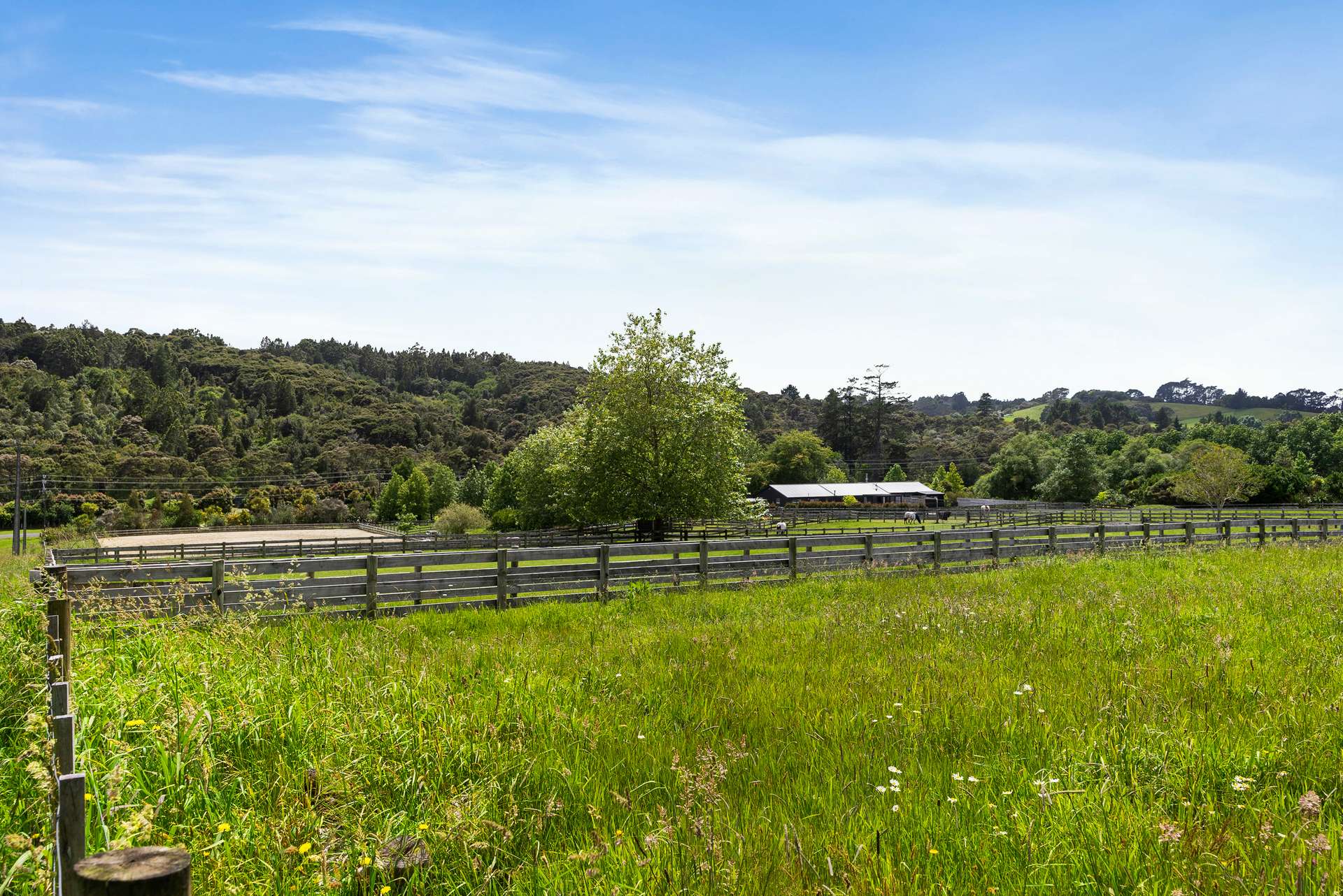 94A Mahoenui Valley Road photo 5