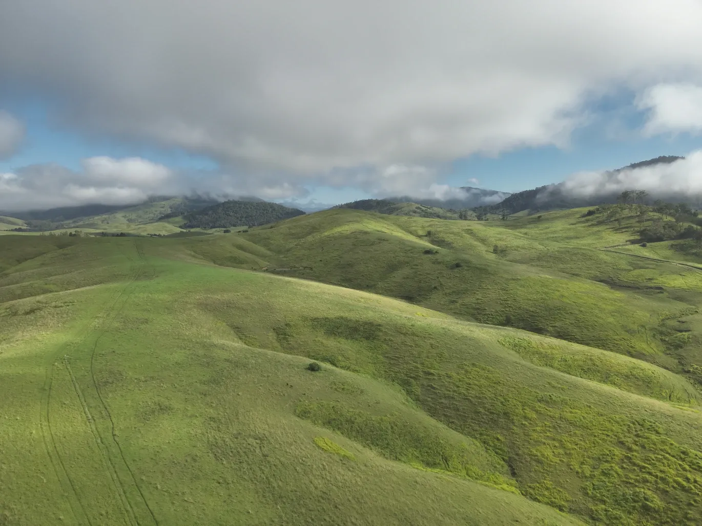 128 Cells Road, Number One, NSW 2424