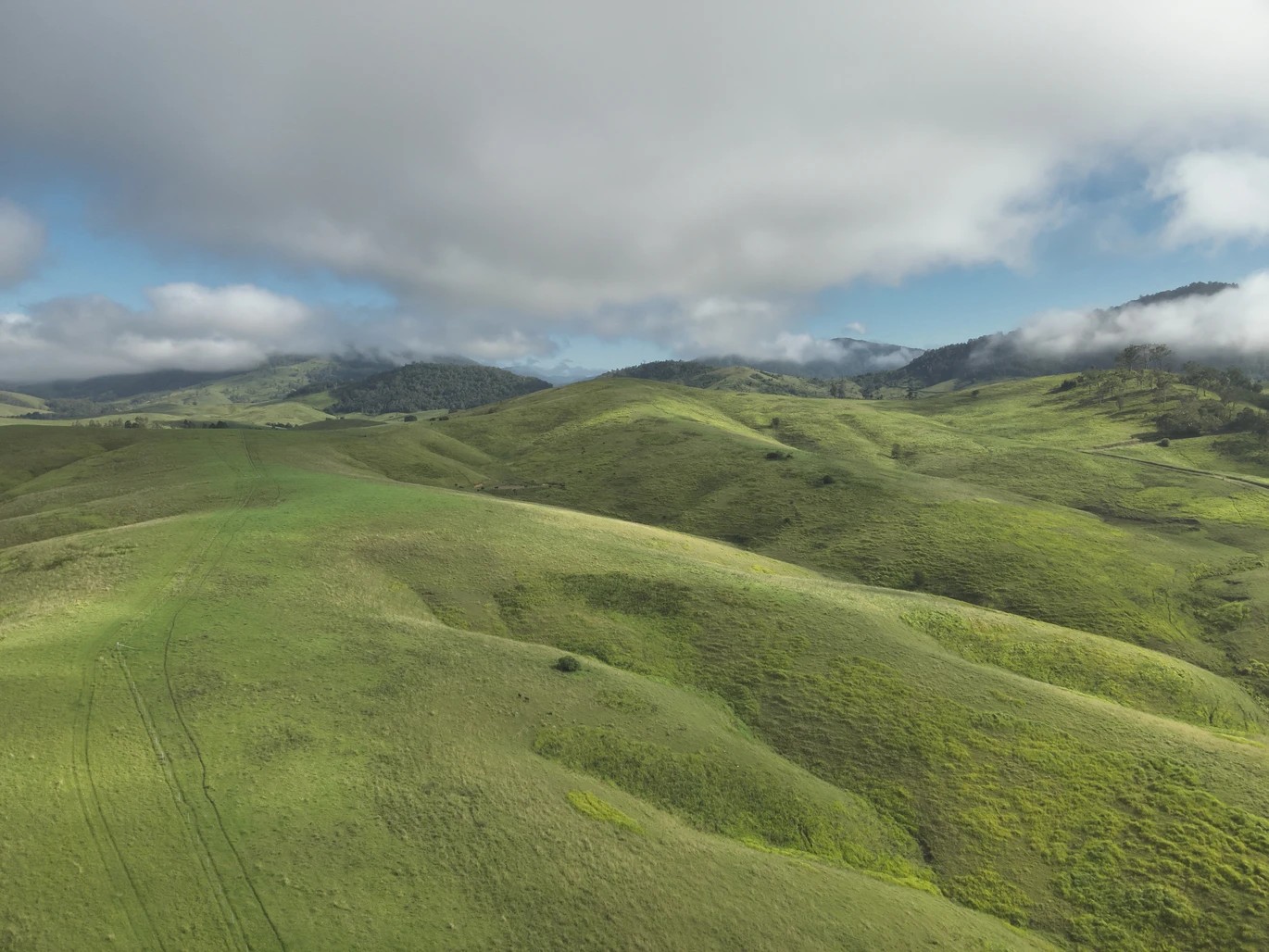 128 Cells Road, Number One, NSW 2424