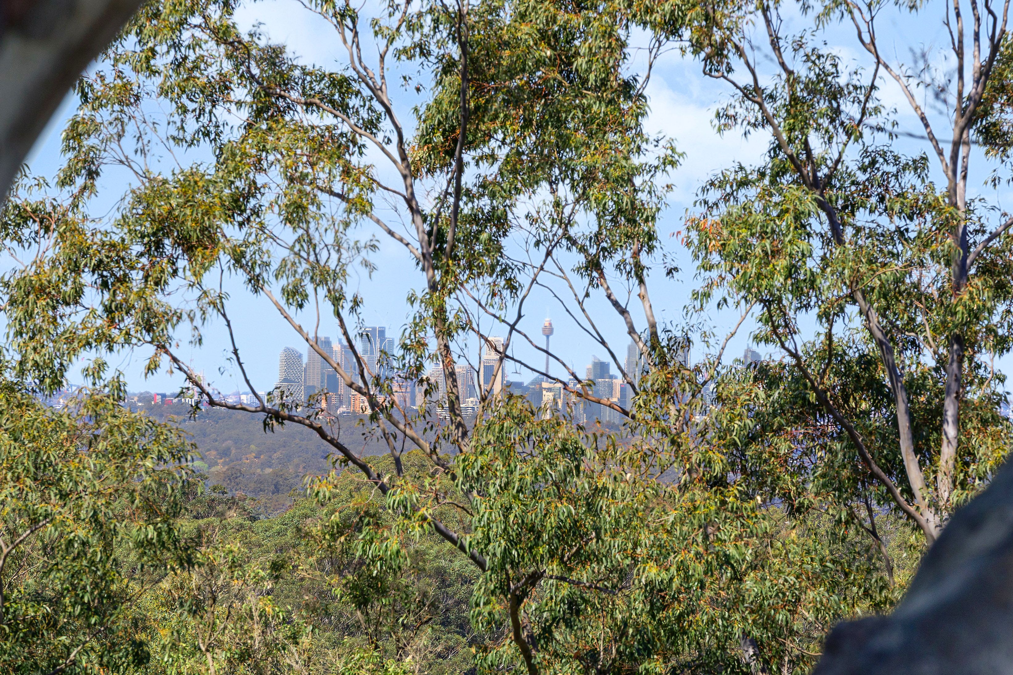 25/10 Kissing Point Road — photo 9 of 10
