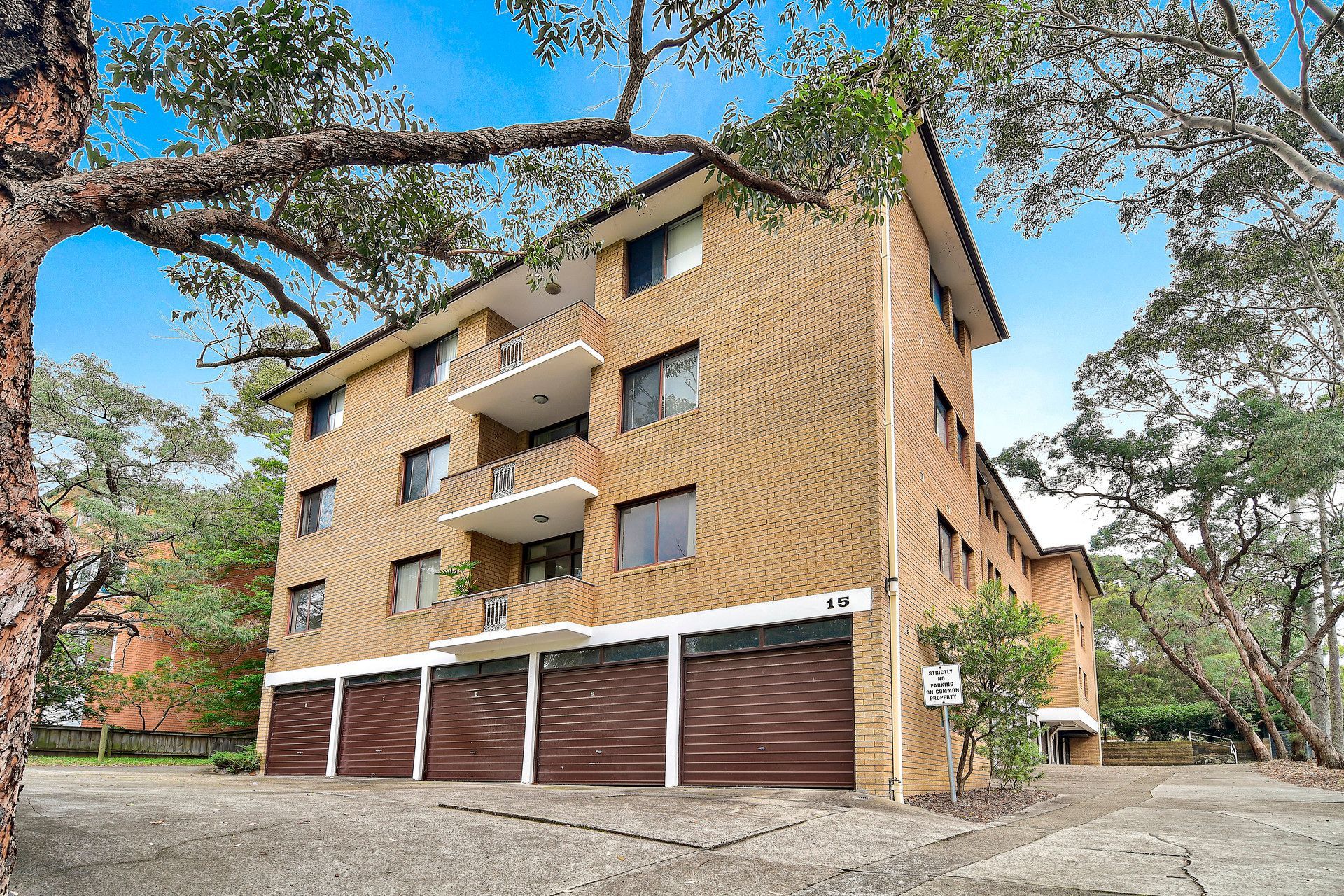 8/15 Cottonwood Crescent, Macquarie Park, NSW 2113