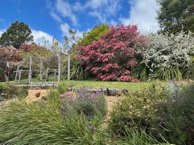 854 Whisky Creek Road — photo 24 of 28