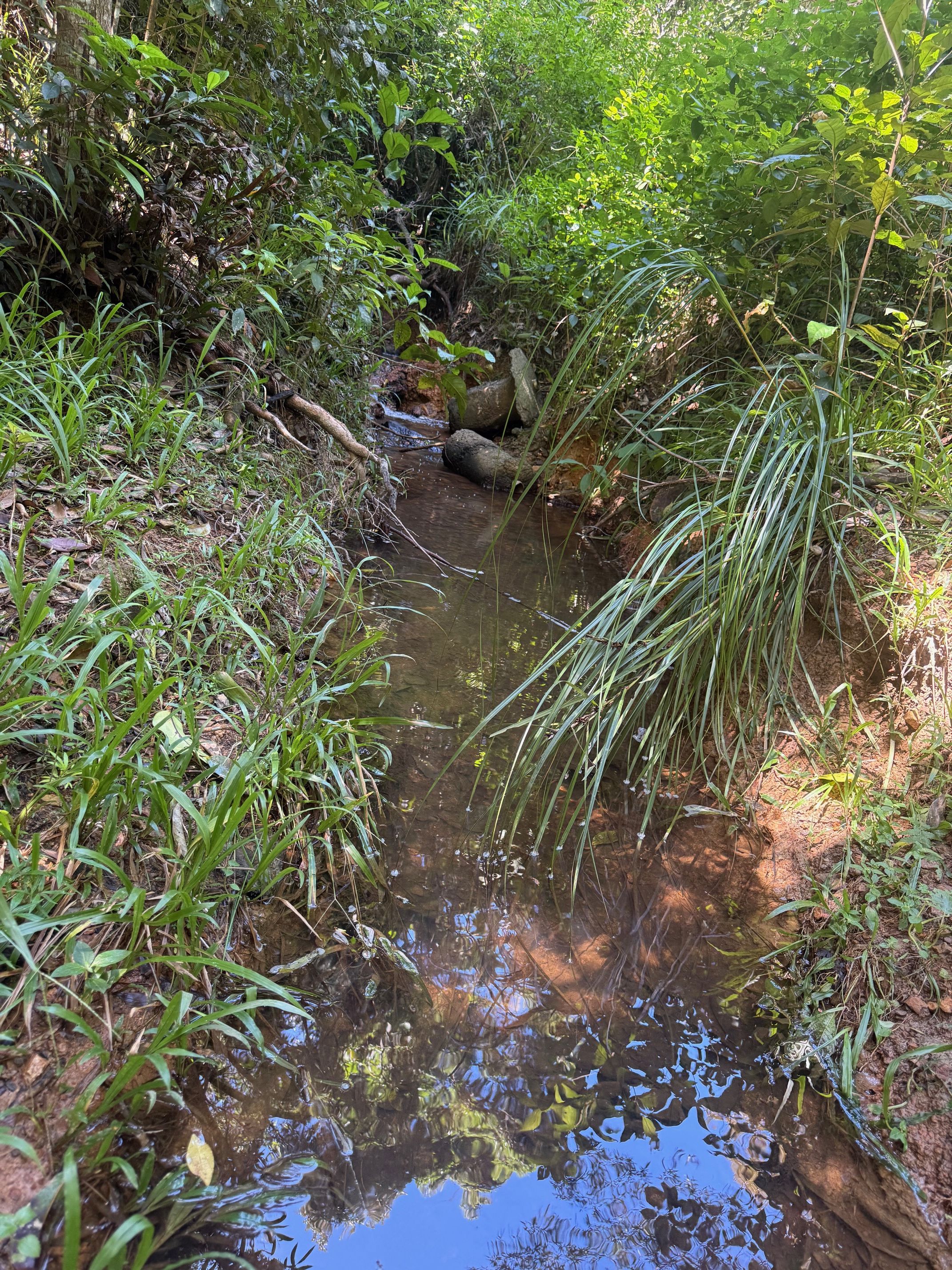 48 Sanctuary Close, Speewah, QLD 4881