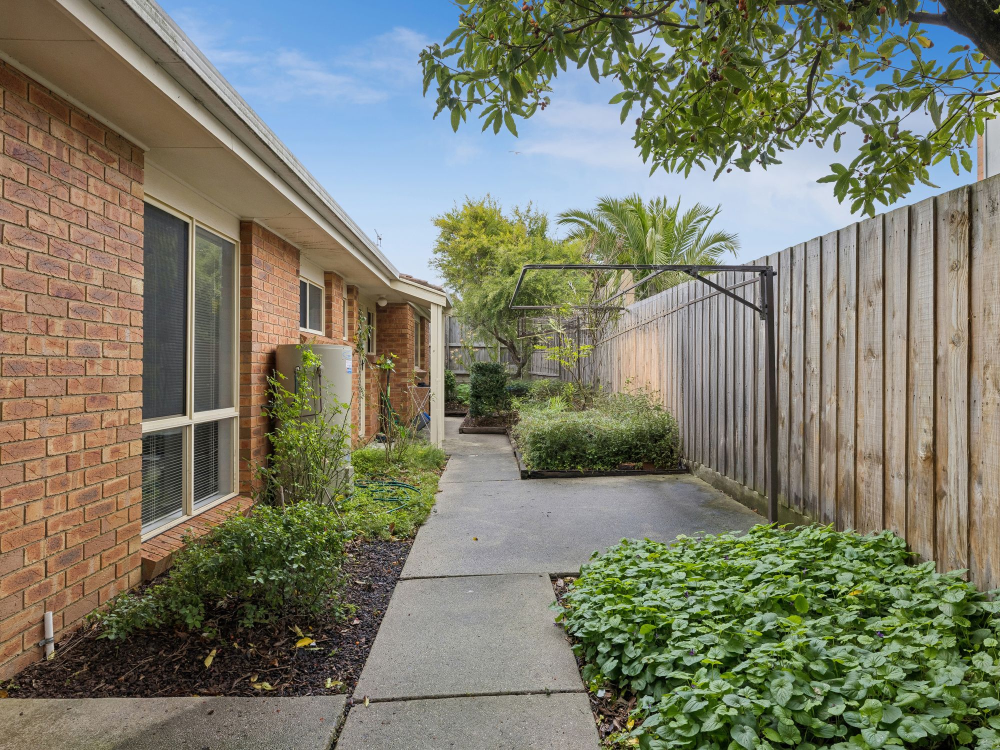 2/221 Graham Street — photo 10 of 14