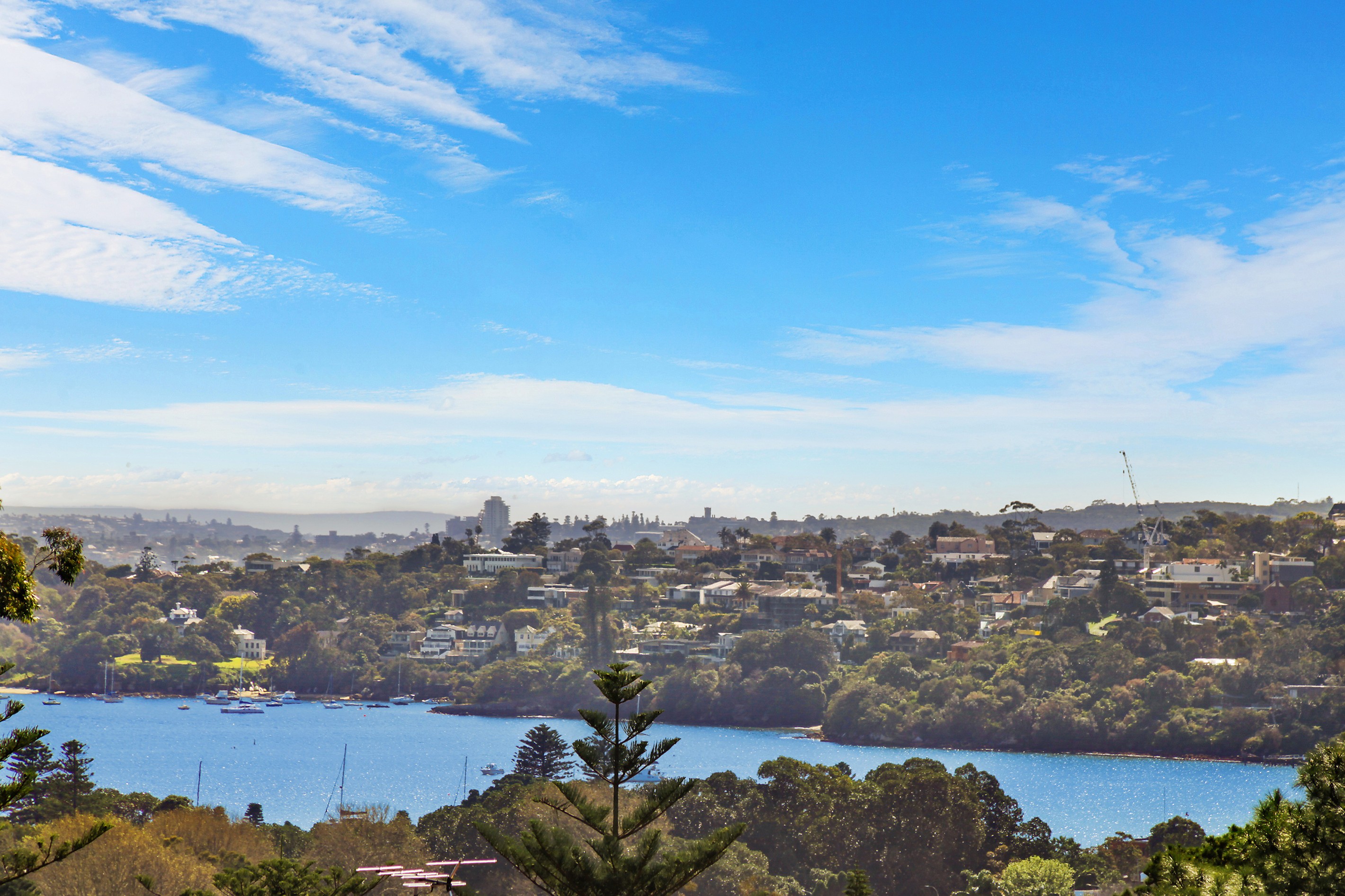92 Drumalbyn Road, Bellevue Hill, NSW 2023