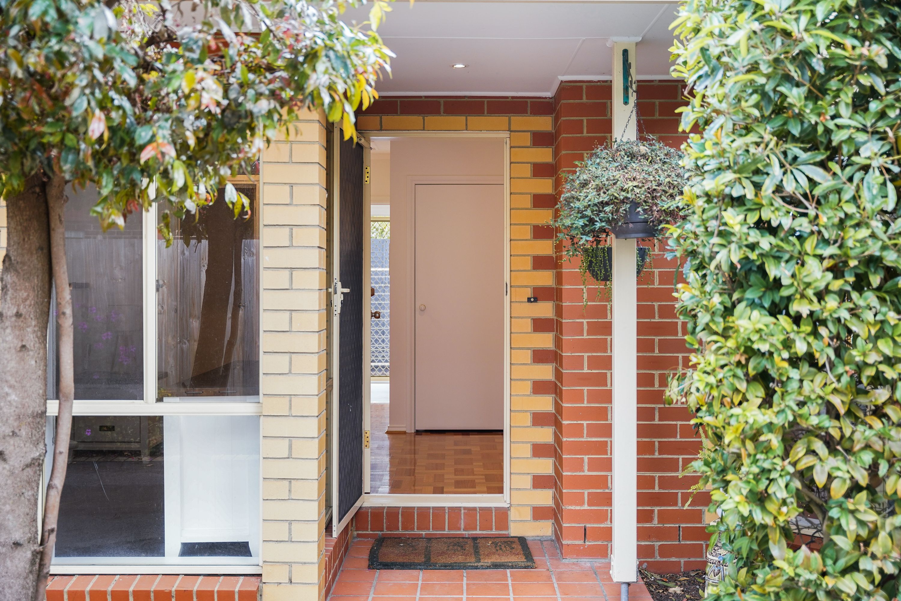 3/64 Wilson Street, Cheltenham, VIC 3192