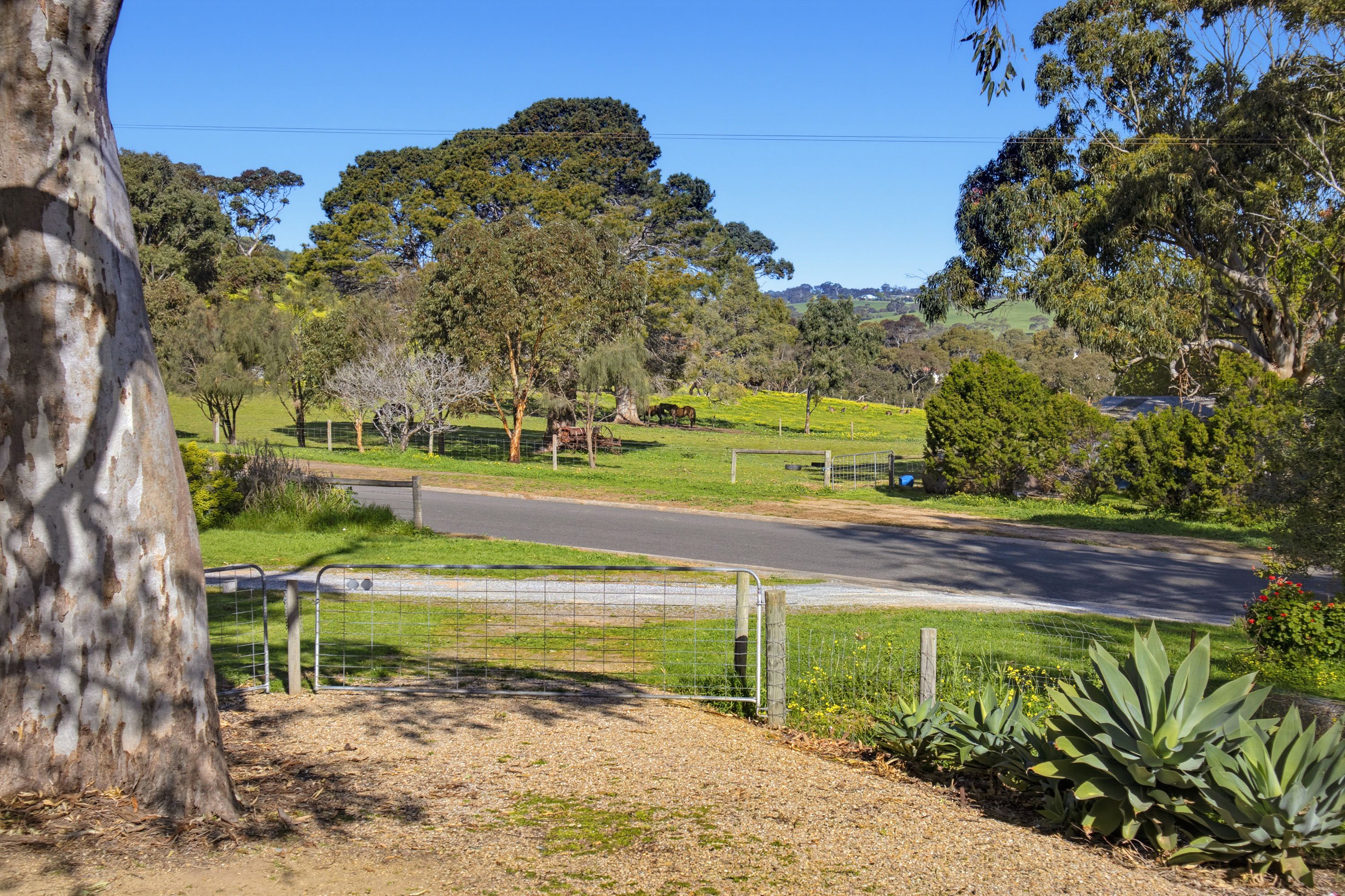 5 Mitchell Heights — photo 23 of 30
