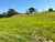 132B Gatfield Road photo 11
