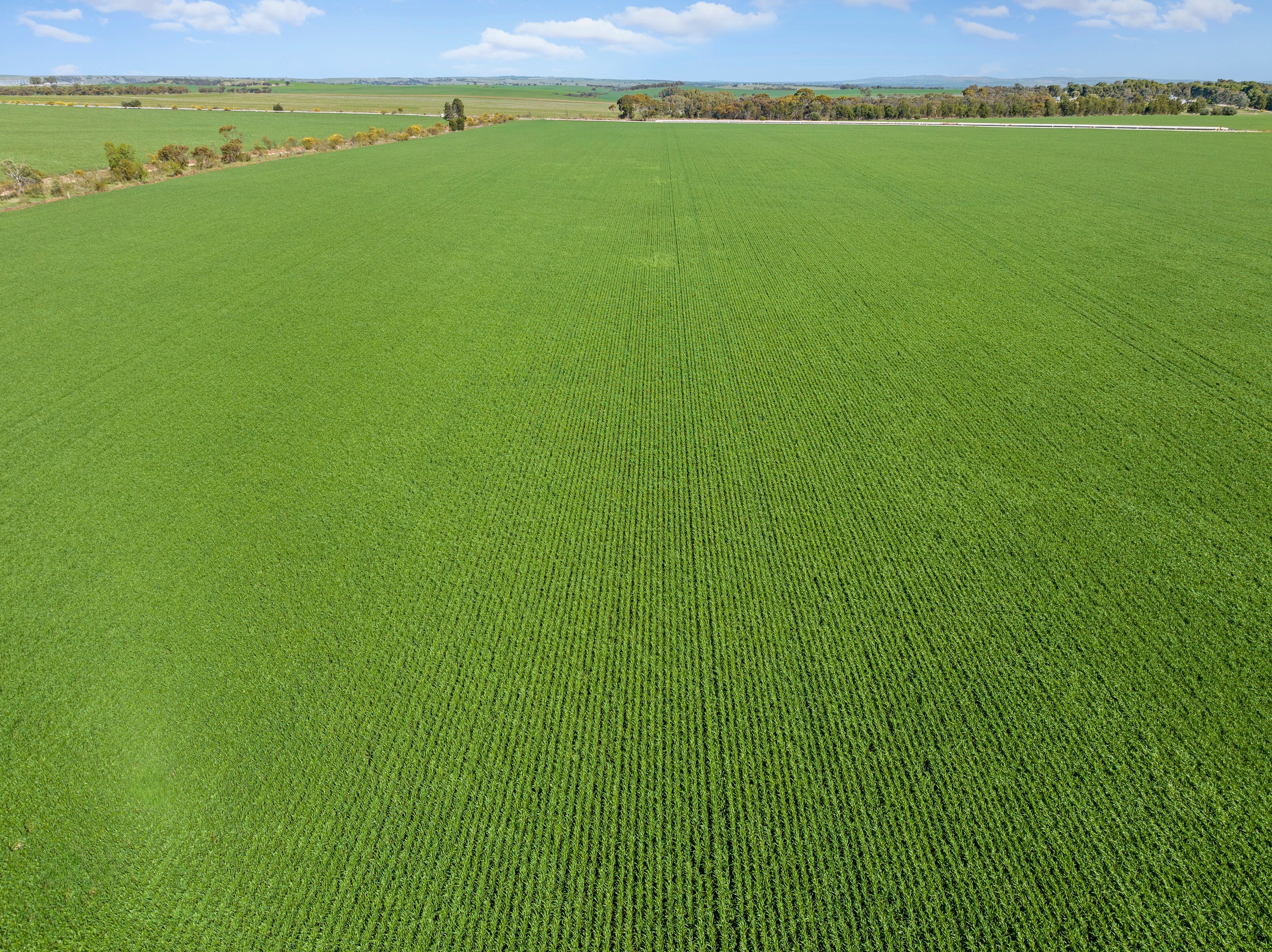 'Huddleston' Road, Gladstone, SA 5473 Sold Rural Cropping Property Ray