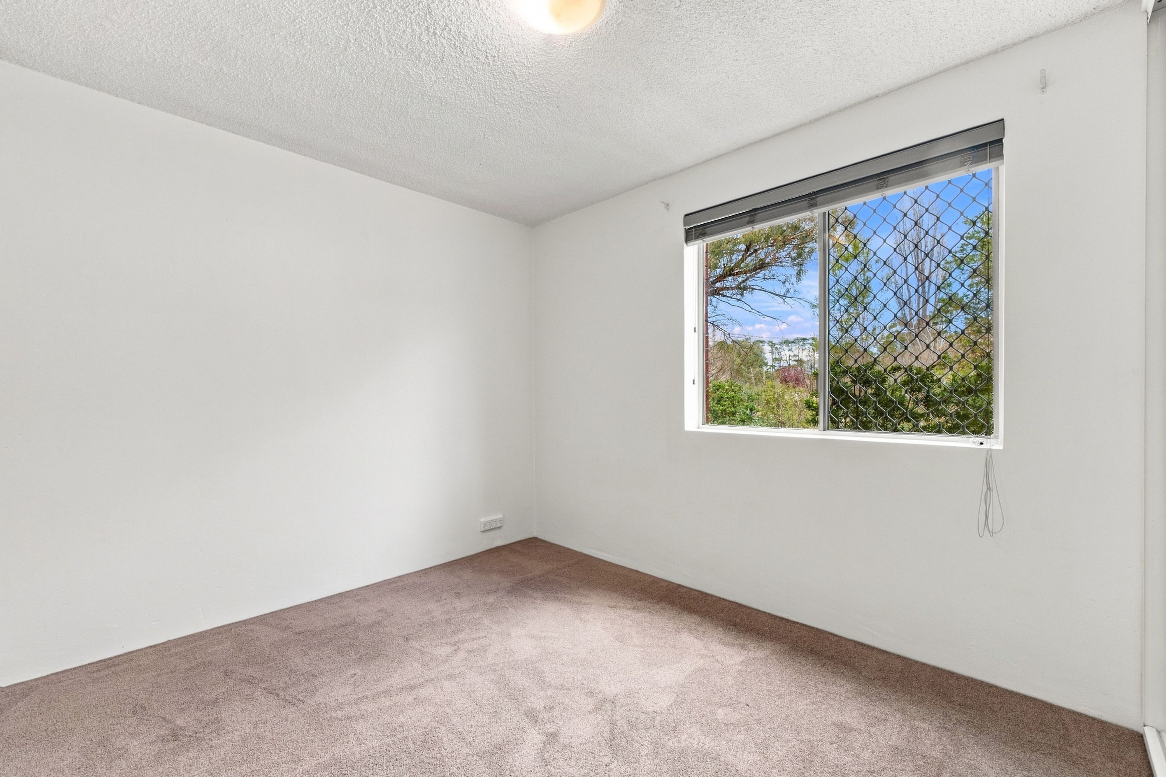 3/16 Yarrow Street — photo 18 of 20
