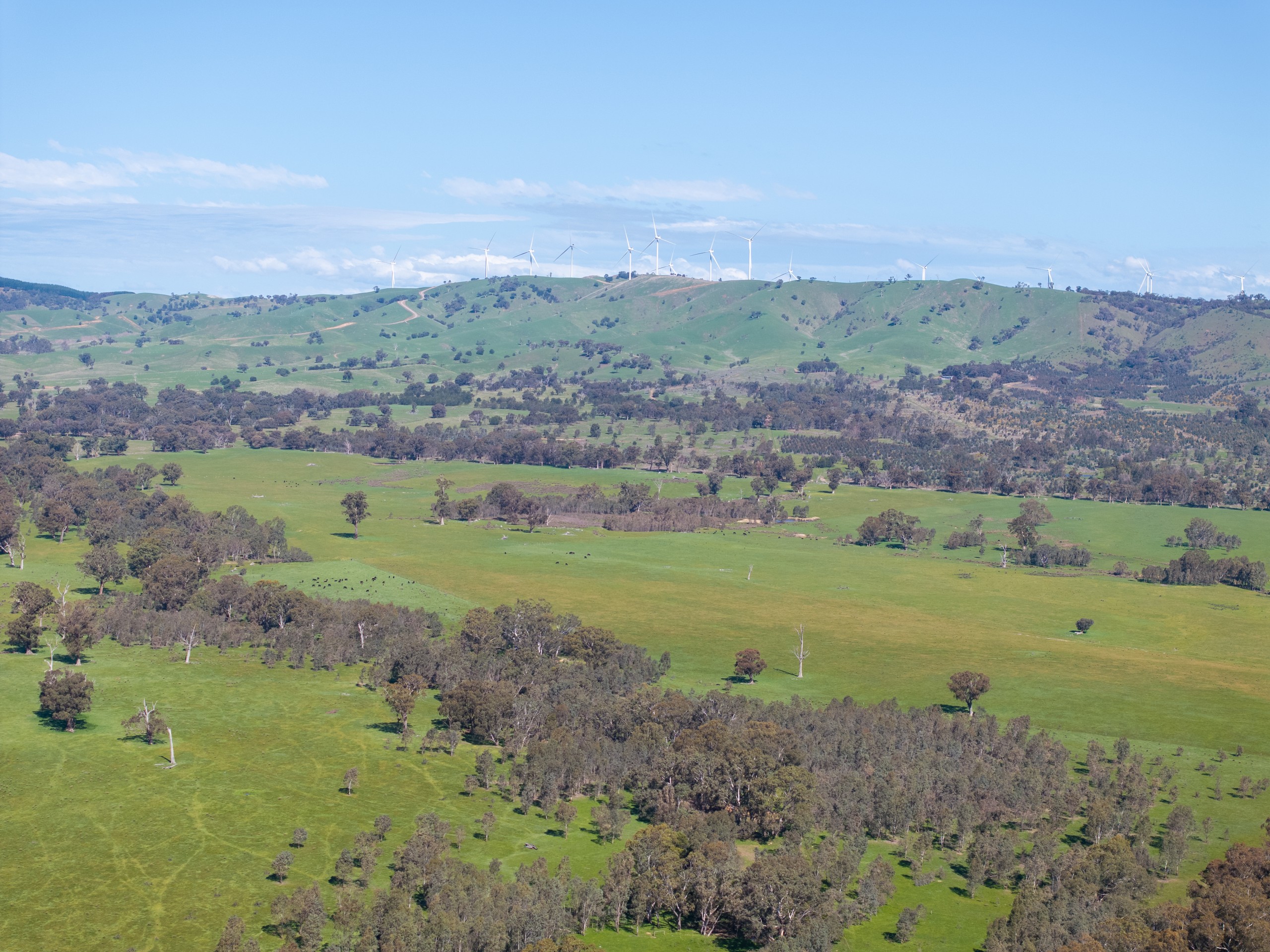 100 Wales Road, Whiteheads Creek, VIC 3660