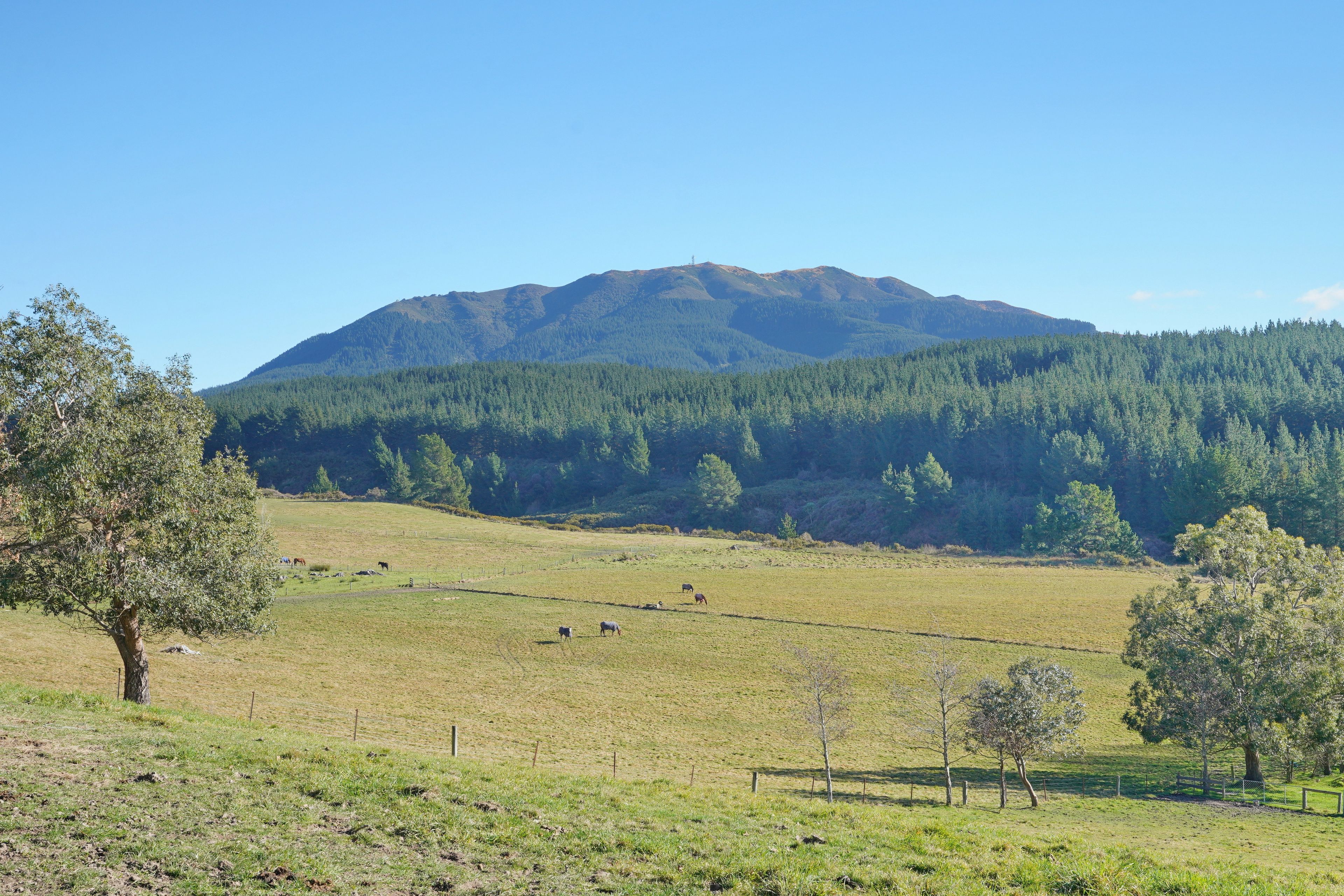 Lot 2/480 Cramptons Bush Road, Broomfield, Hurunui District