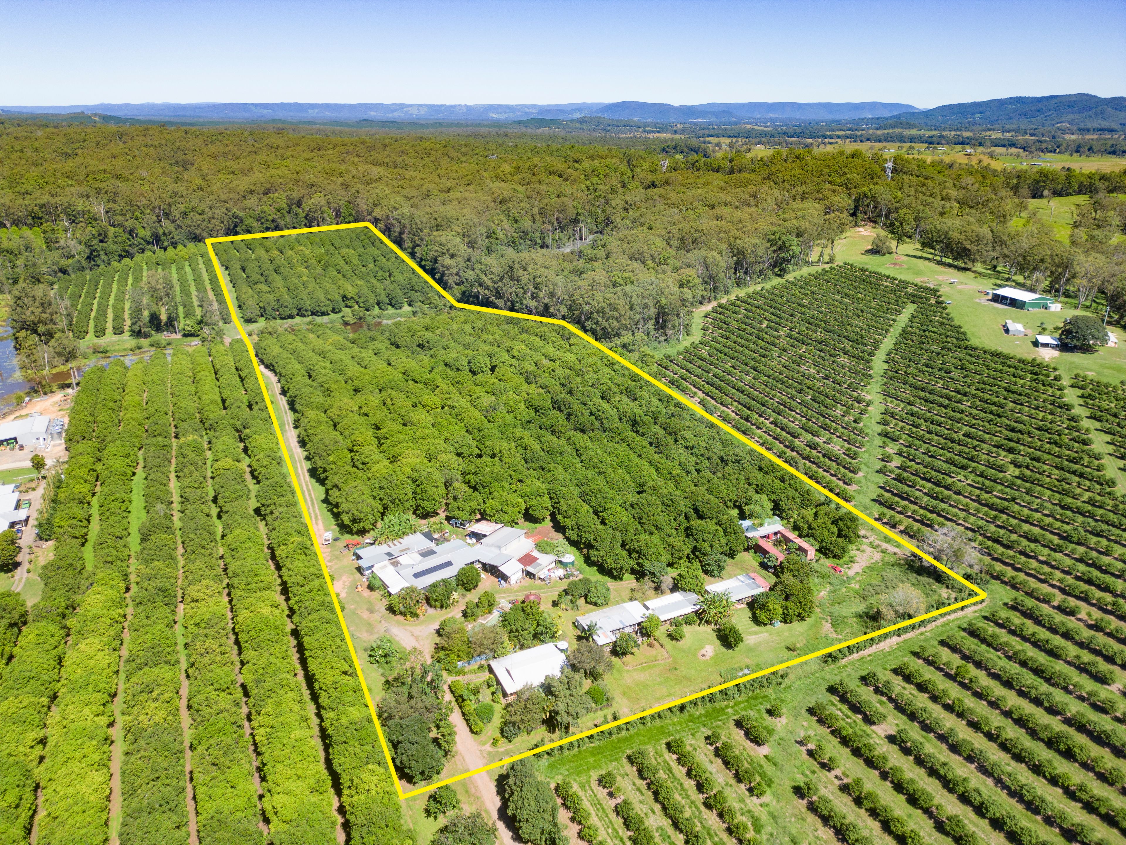 343 Commissioners Flat Road, Peachester, QLD 4519 Rural Cropping