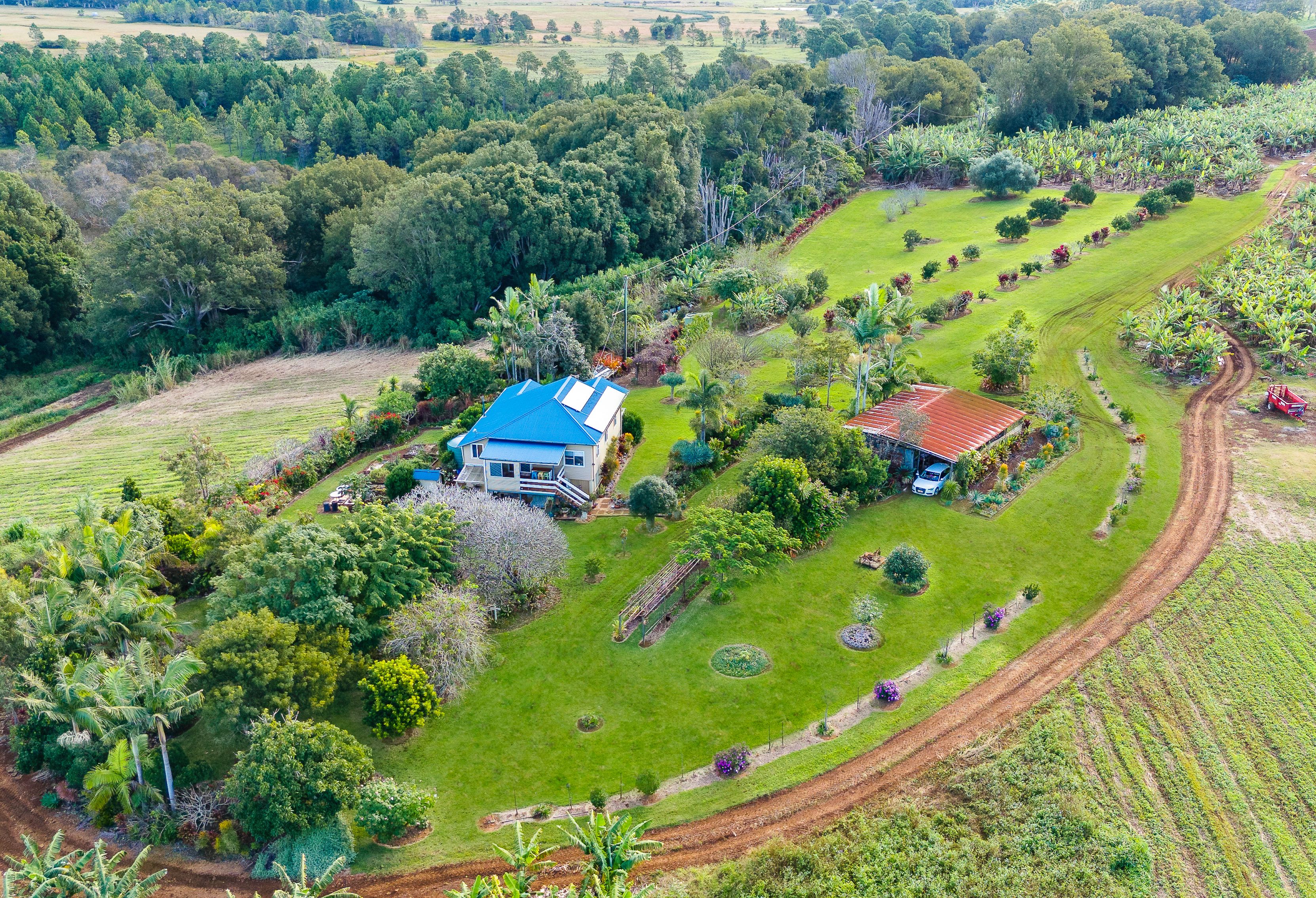 95 Reardons Road, Cudgen, NSW 2487 Rural Cropping Property for Sale
