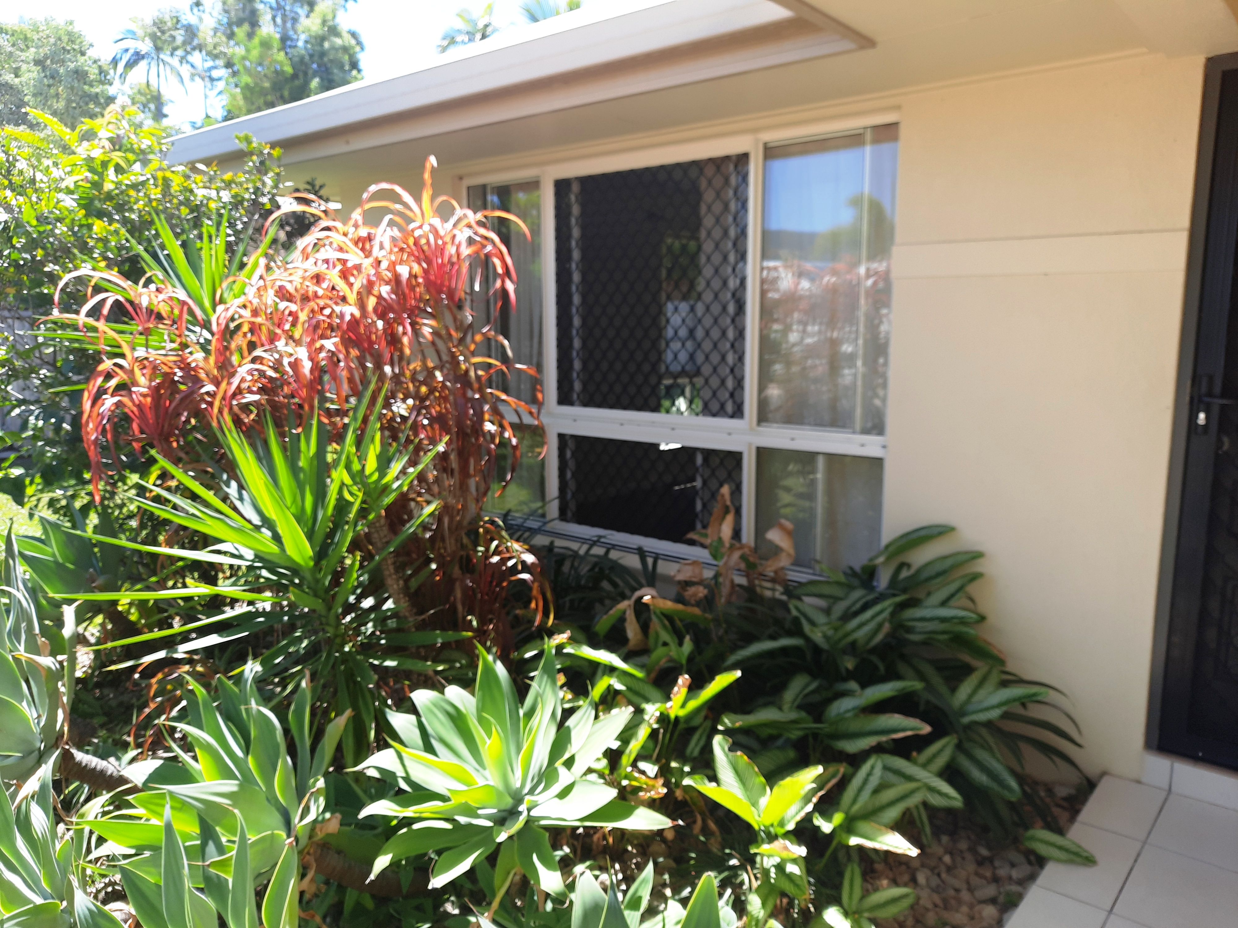37 Lagoon Drive, Trinity Beach, QLD 4879