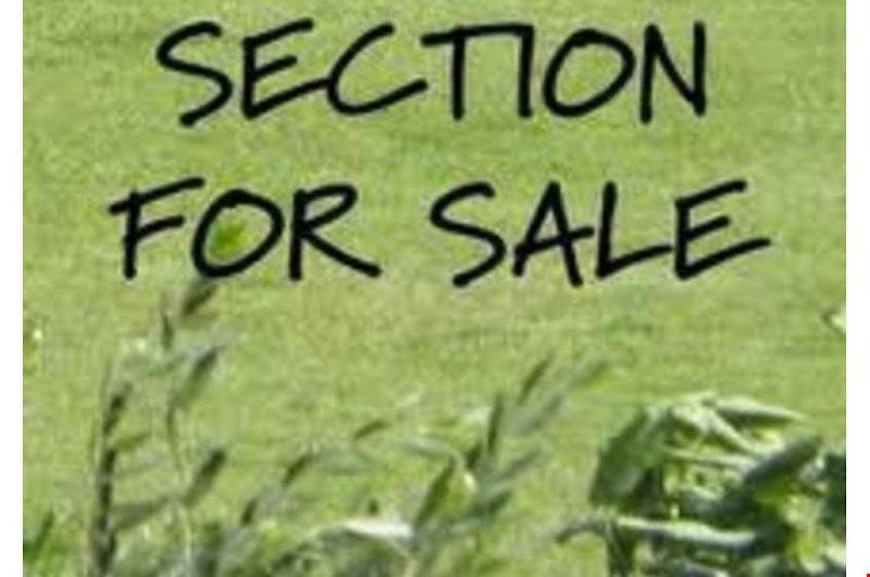 9 Waitai Close, Long Bay, North Shore City