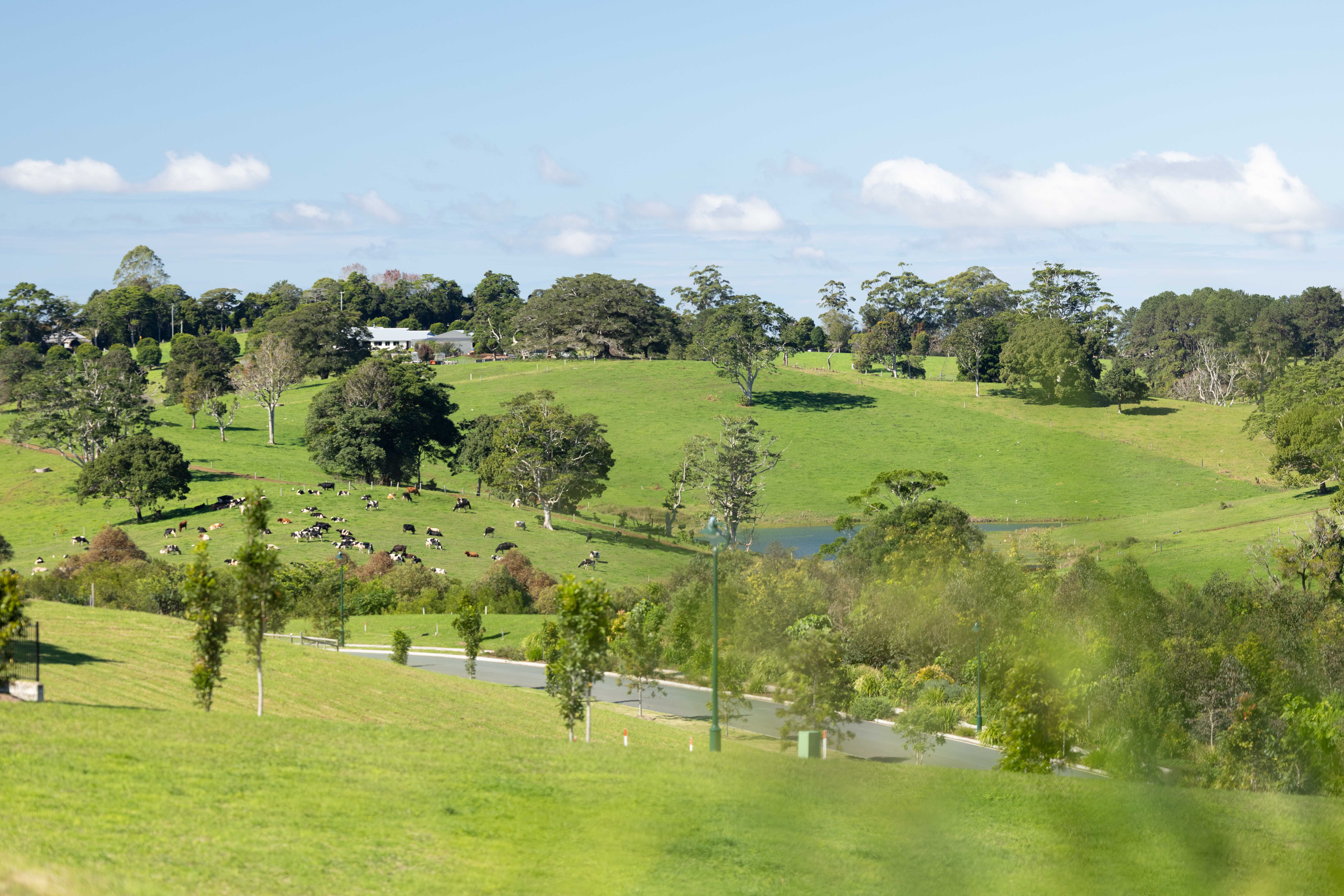 210 Tallowwood Street, Maleny, QLD 4552