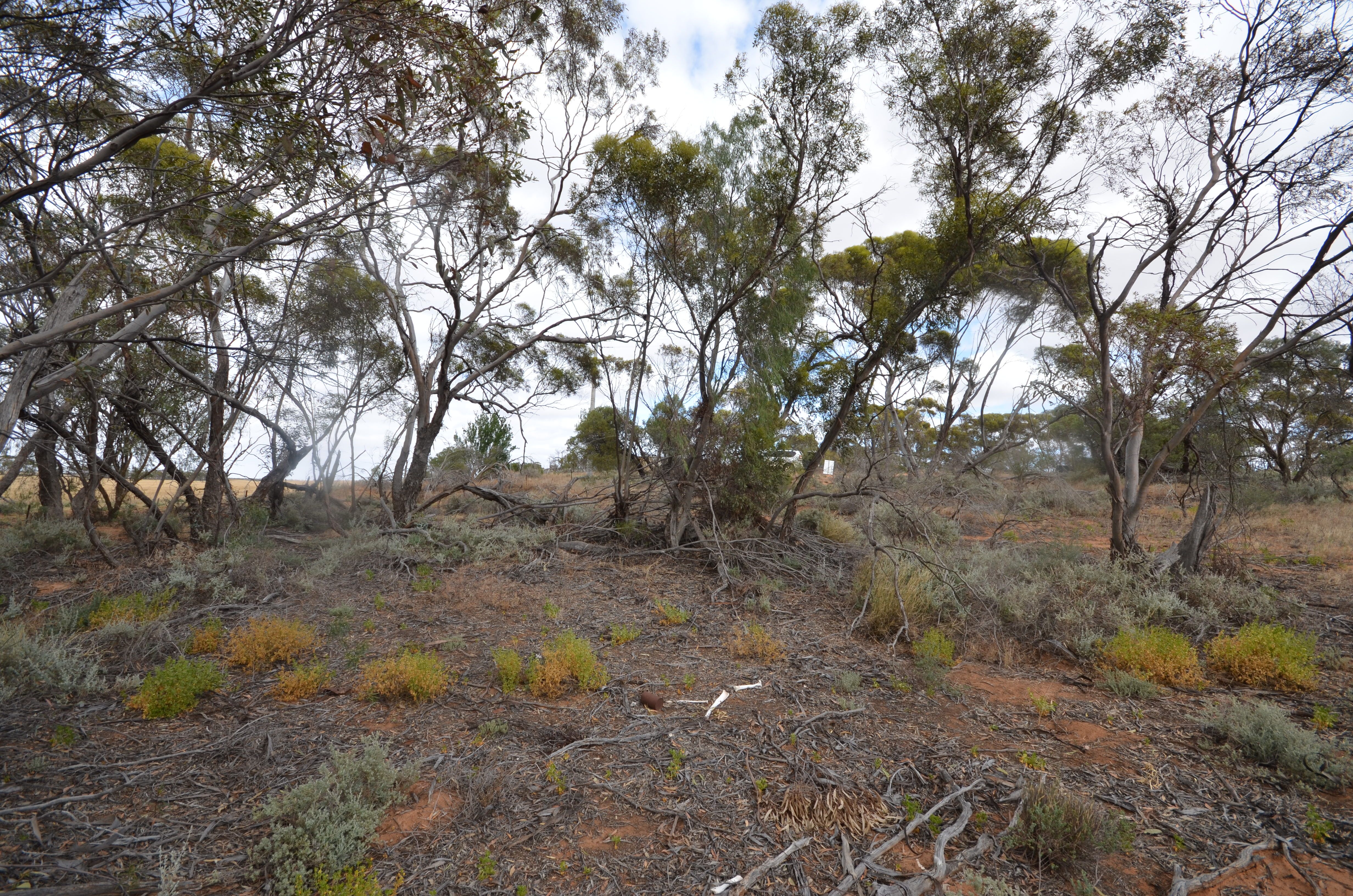 Lot 1 Smyth Street, Chillingollah, VIC 3585
