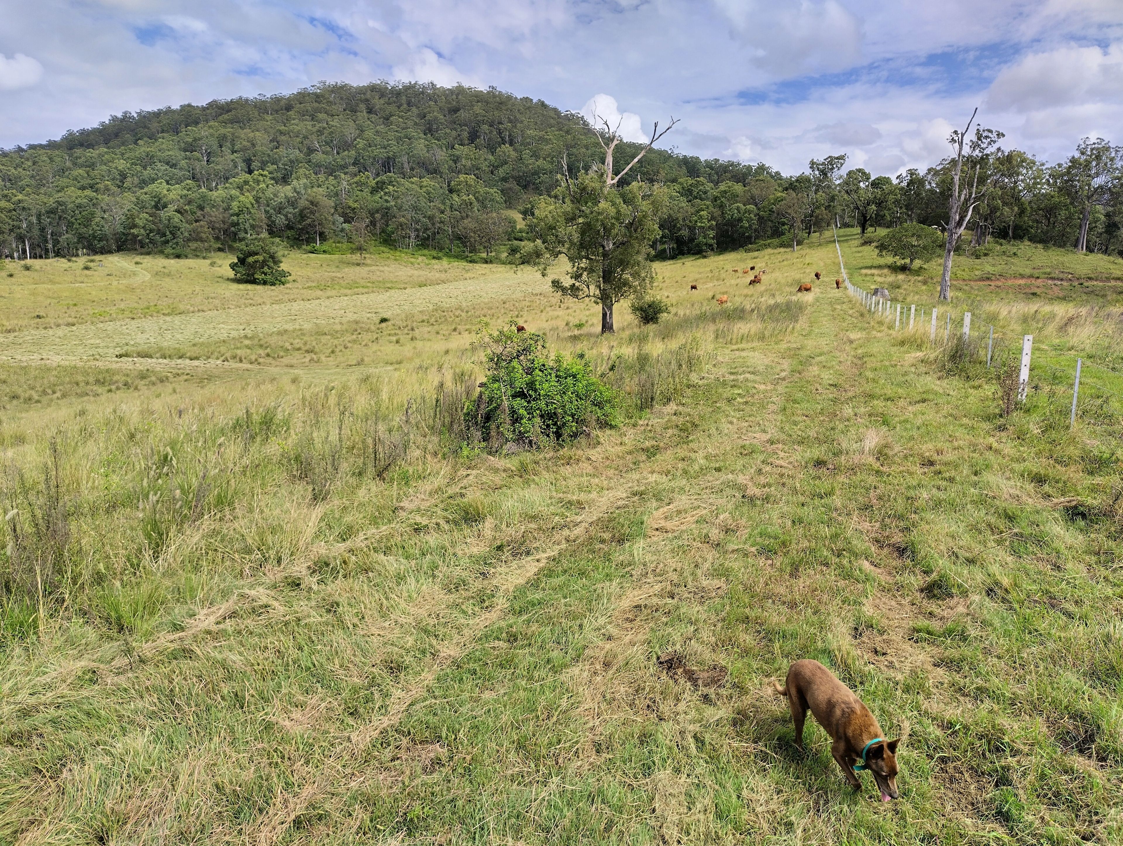 1106 Naughtons Gap Road — photo 12 of 27