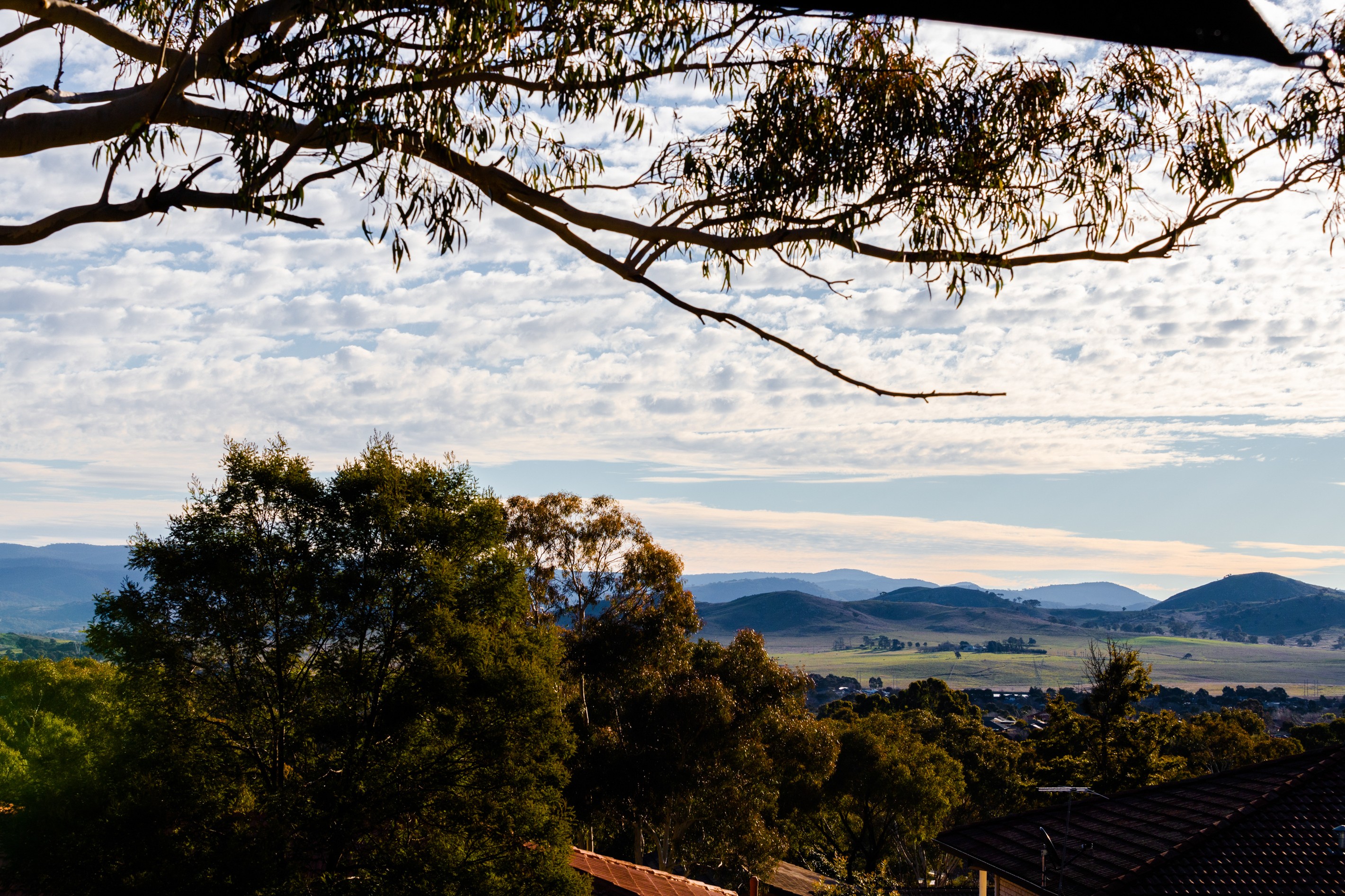 8 Neeld Place, Charnwood, ACT 2615