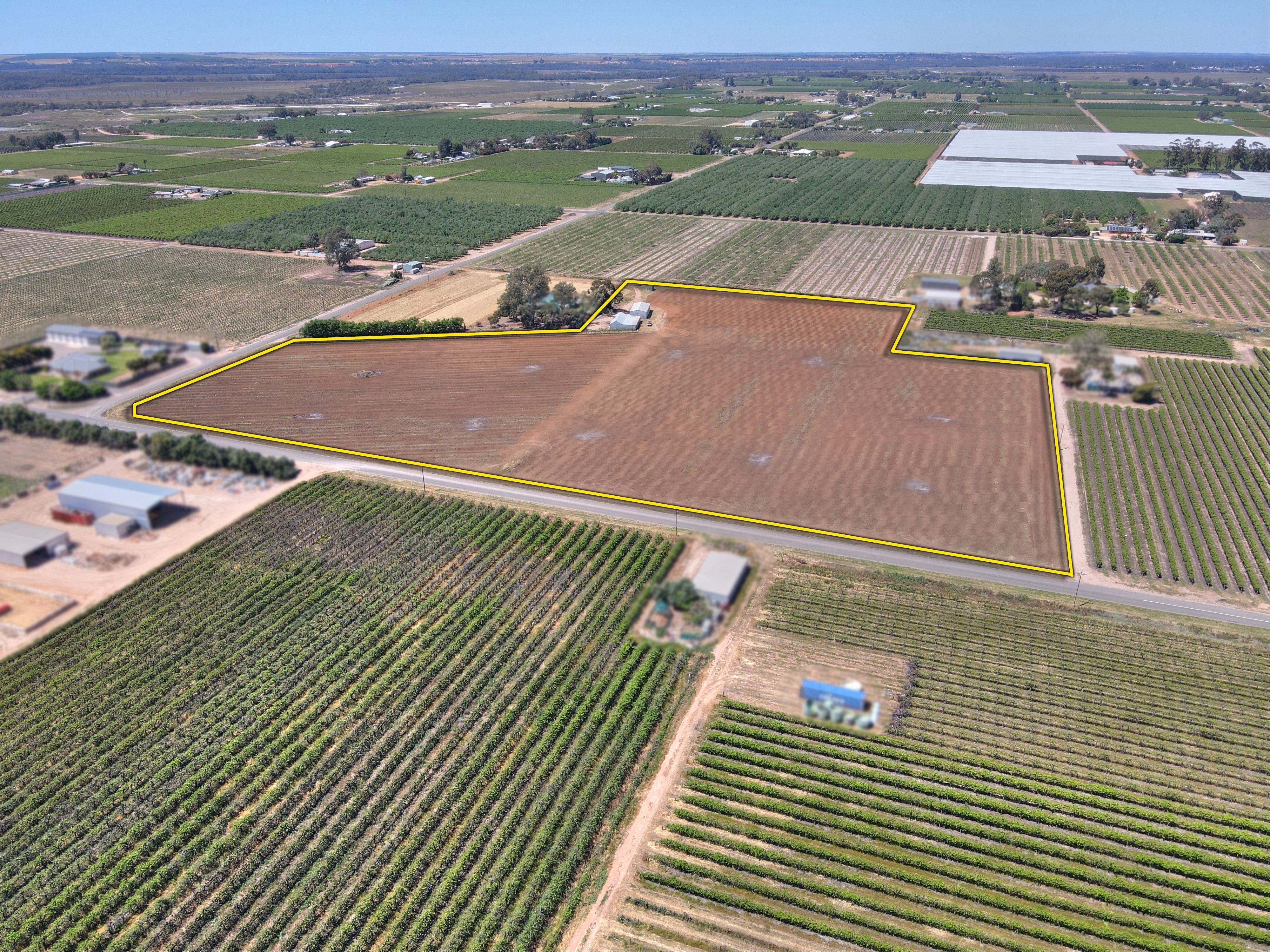 Lot 38 Nelbuck Street, Renmark, SA 5341