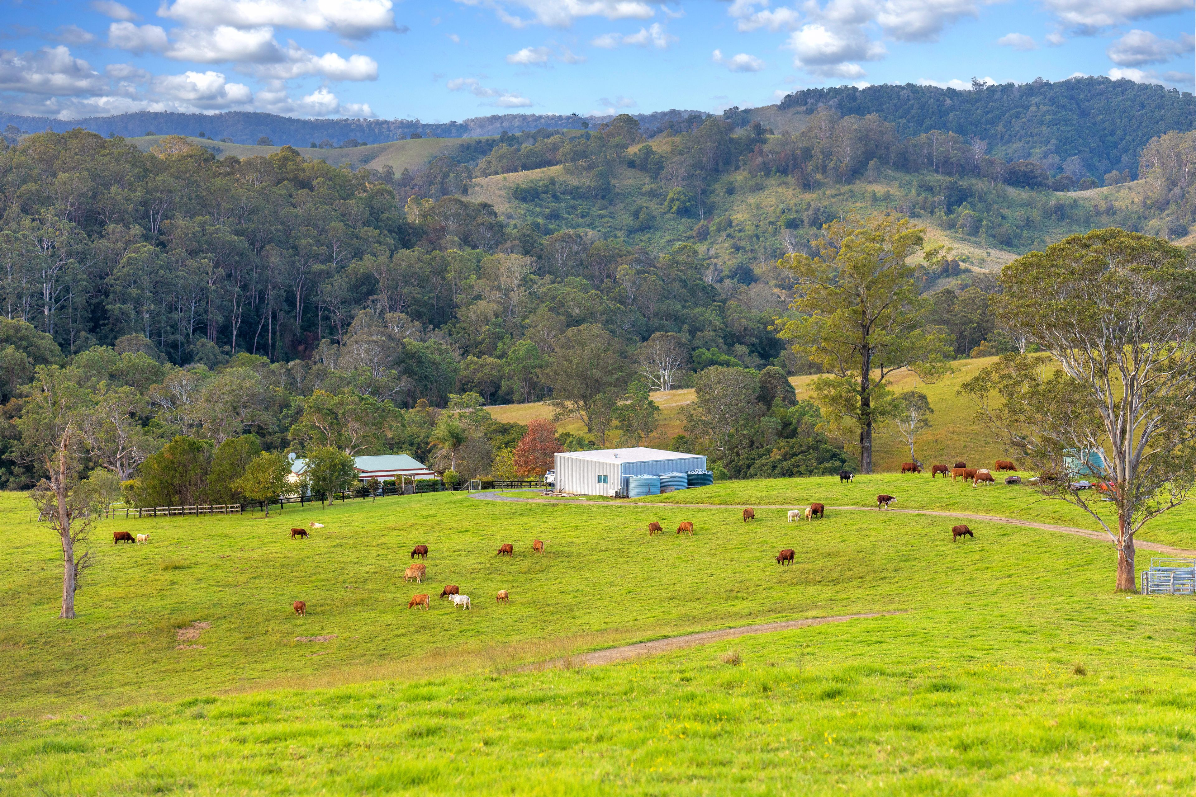 159 Yates Road, Bucca Wauka, NSW 2429 Sold Rural Mixed Farming Property Ray White Manning Valley