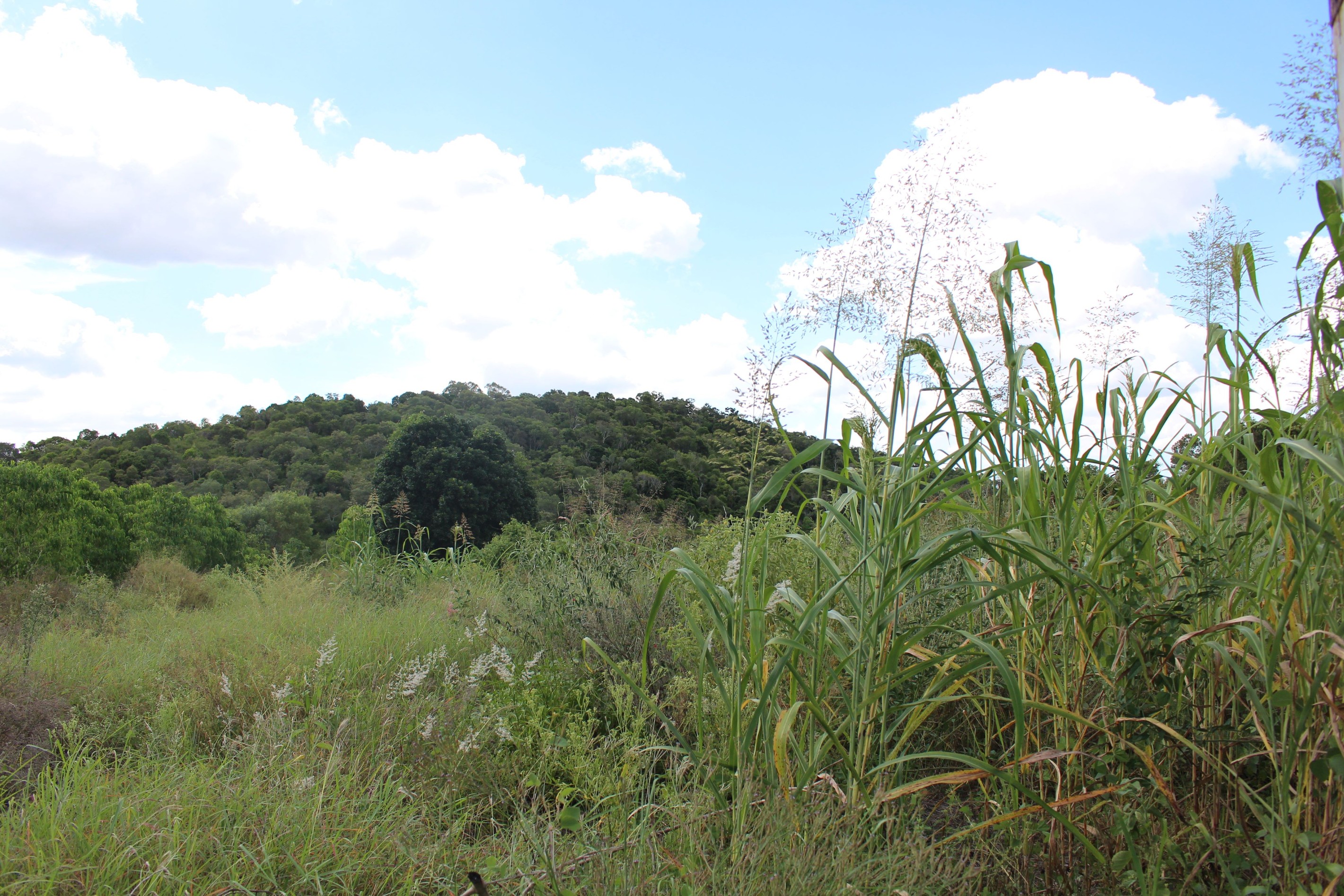 Lot 35 Aplin Road, Bracewell, QLD 4695