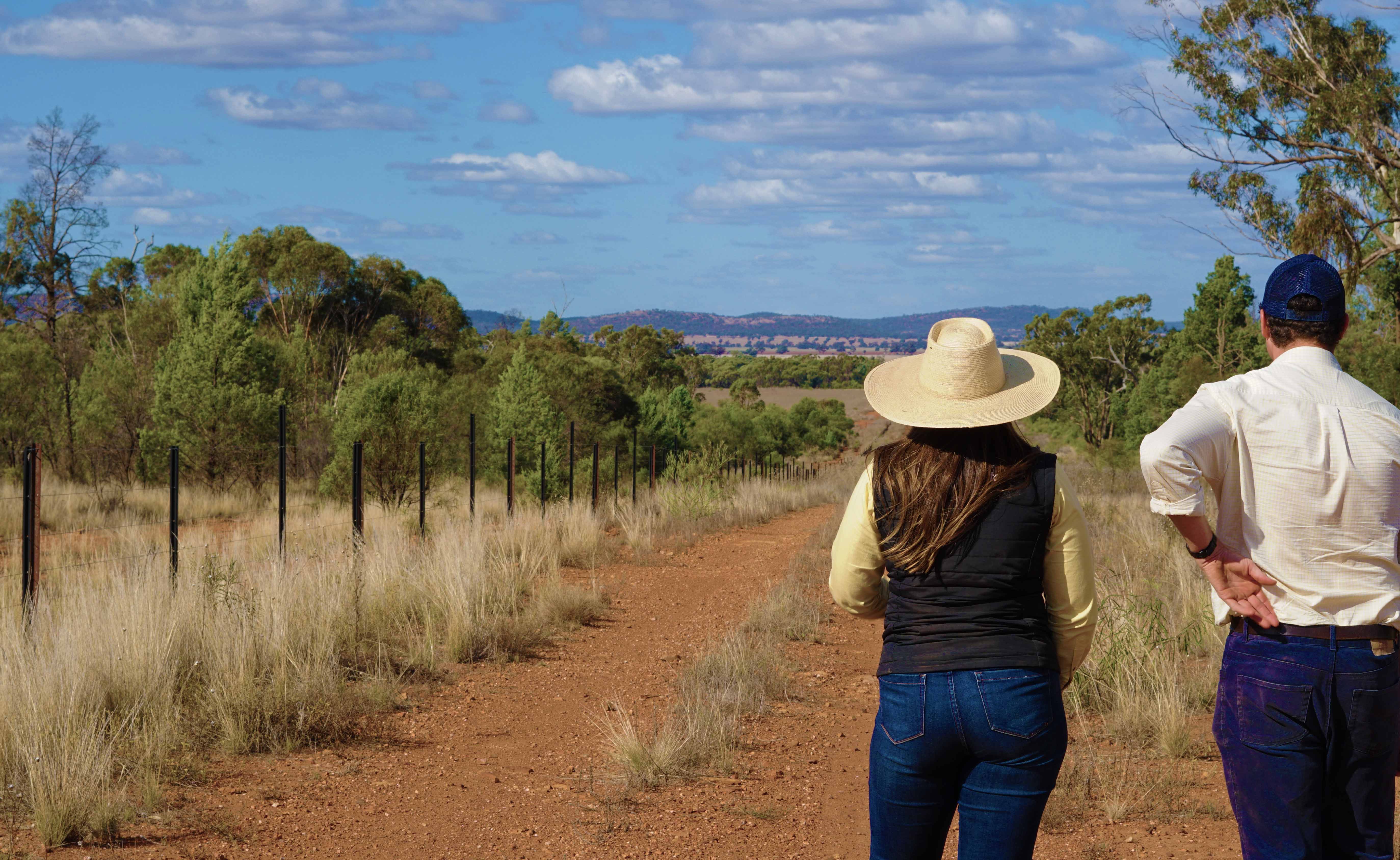 Part Mount Tinda Rosedale Road, Condobolin, NSW 2877