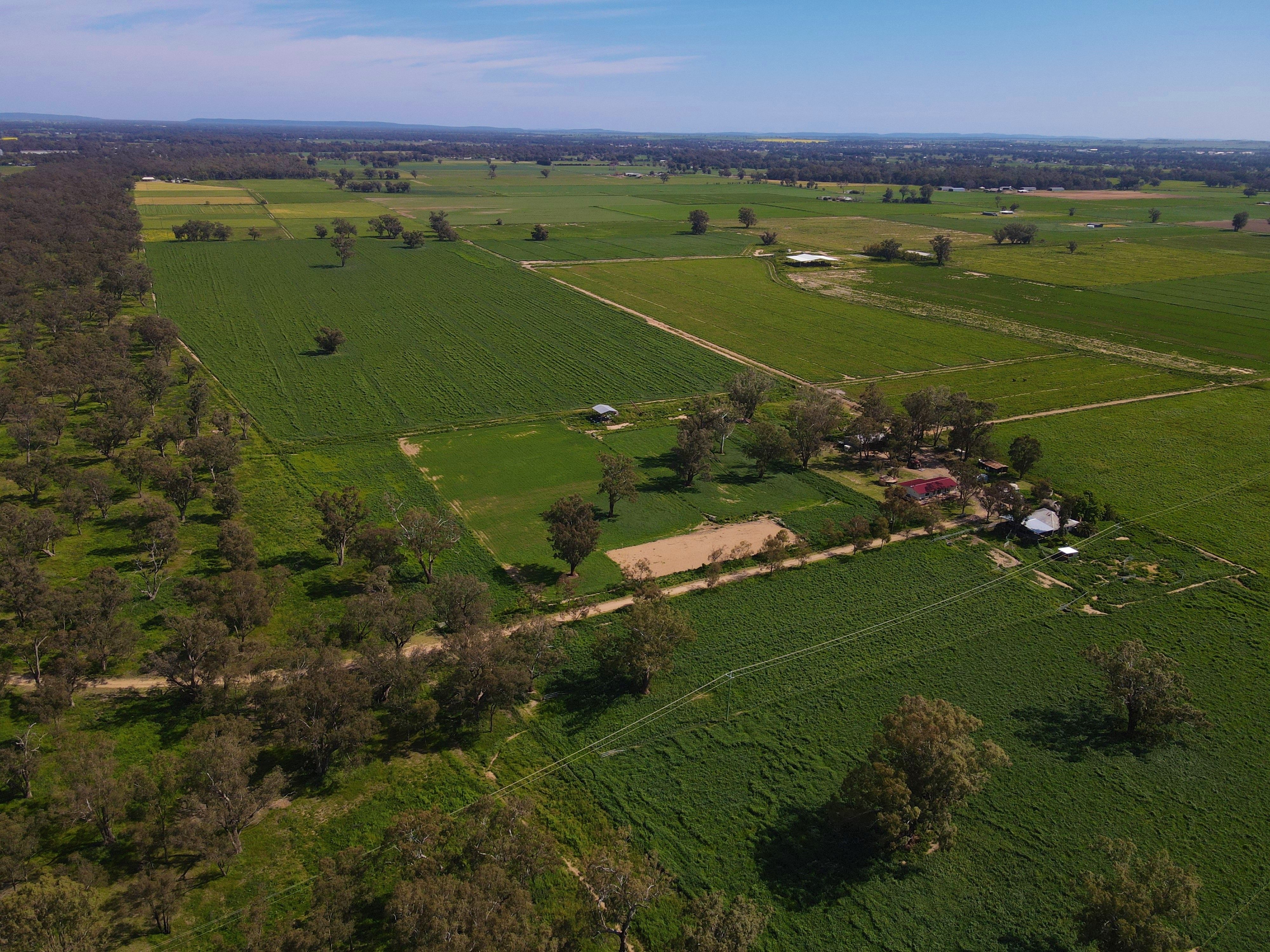 8308 Lachlan Valley Way, Forbes, NSW 2871