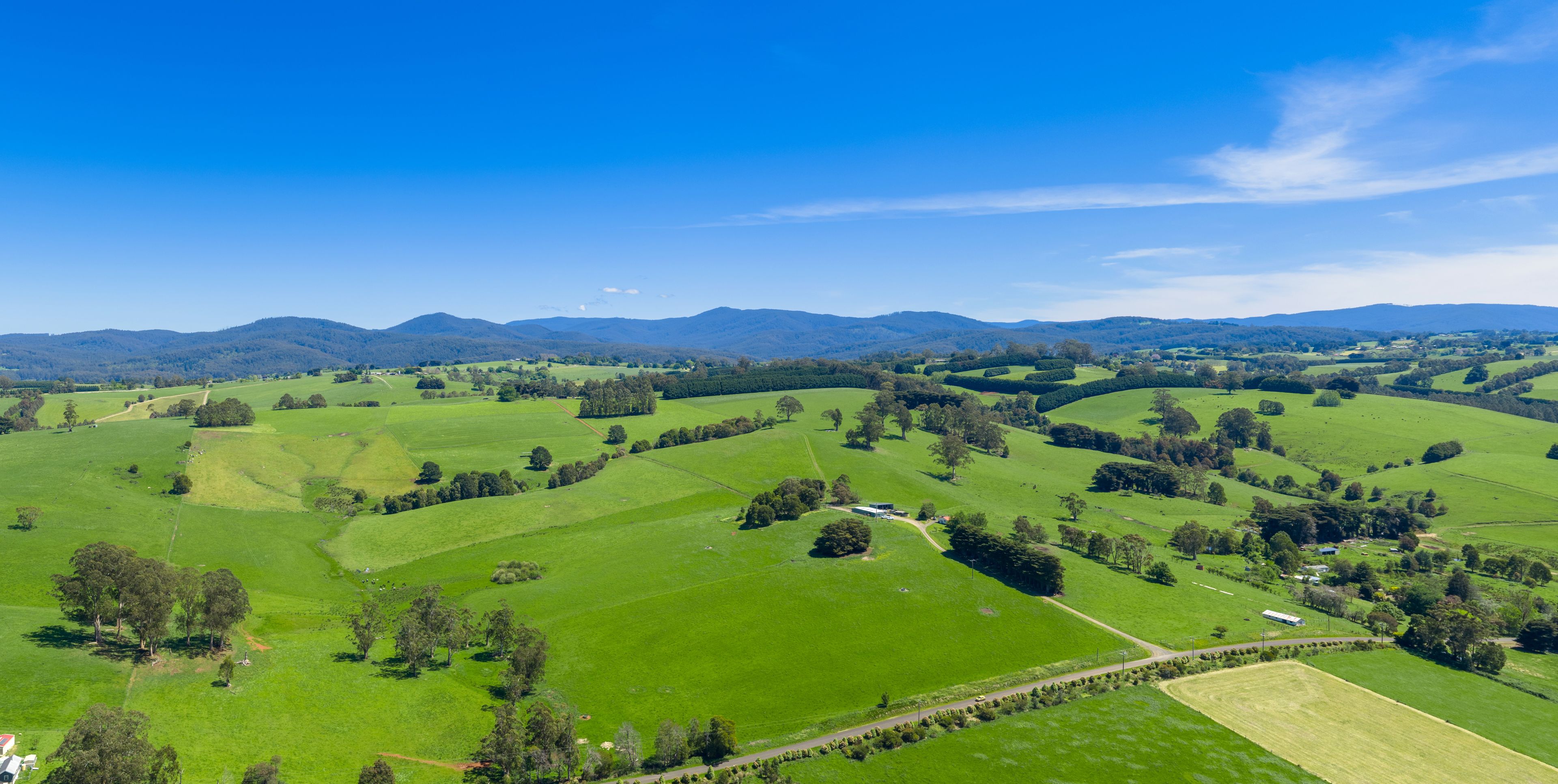 195 Sheffield Road, Neerim South, VIC 3831