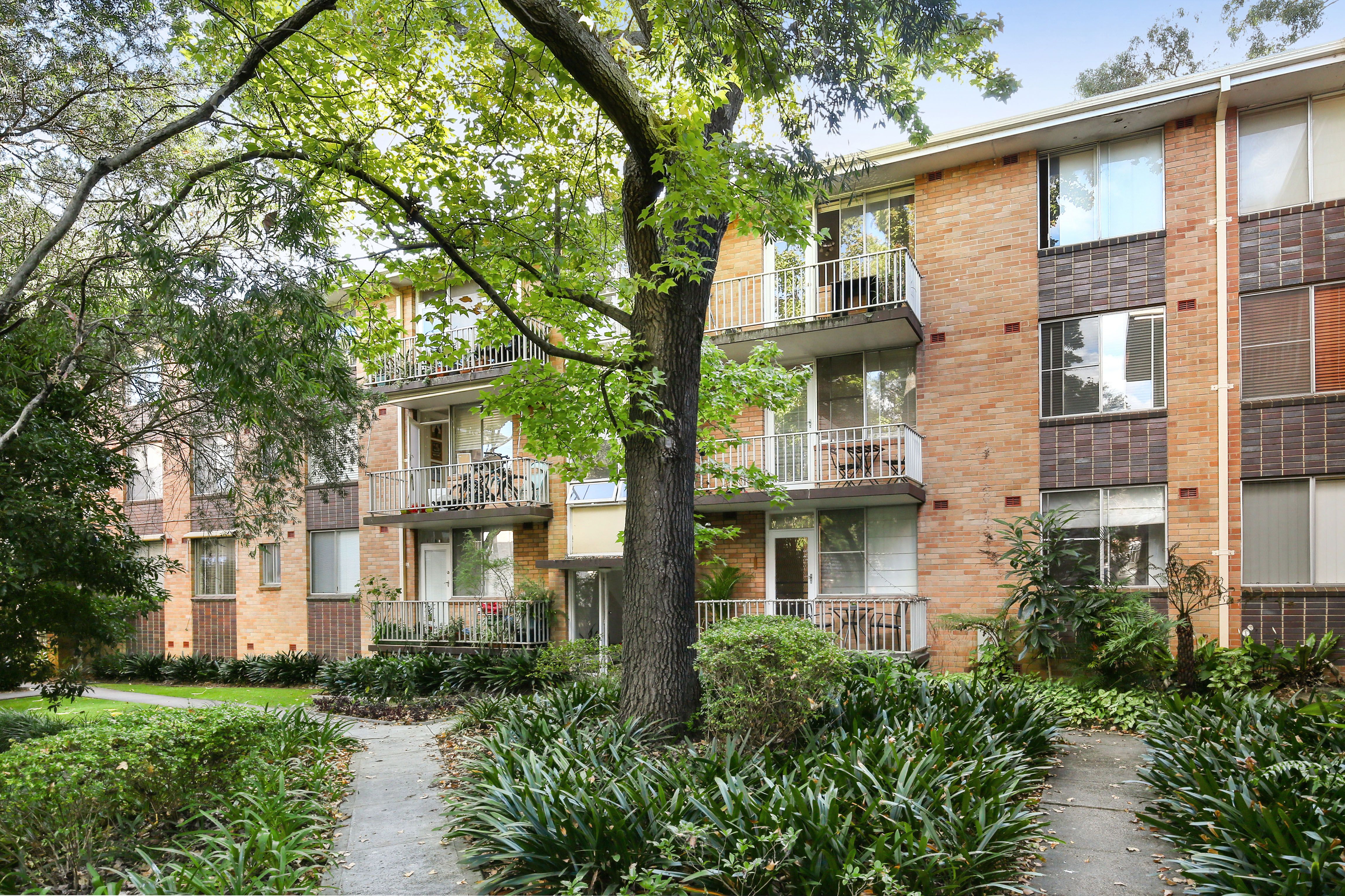 24/44 Ewart Street, Marrickville, NSW 2204