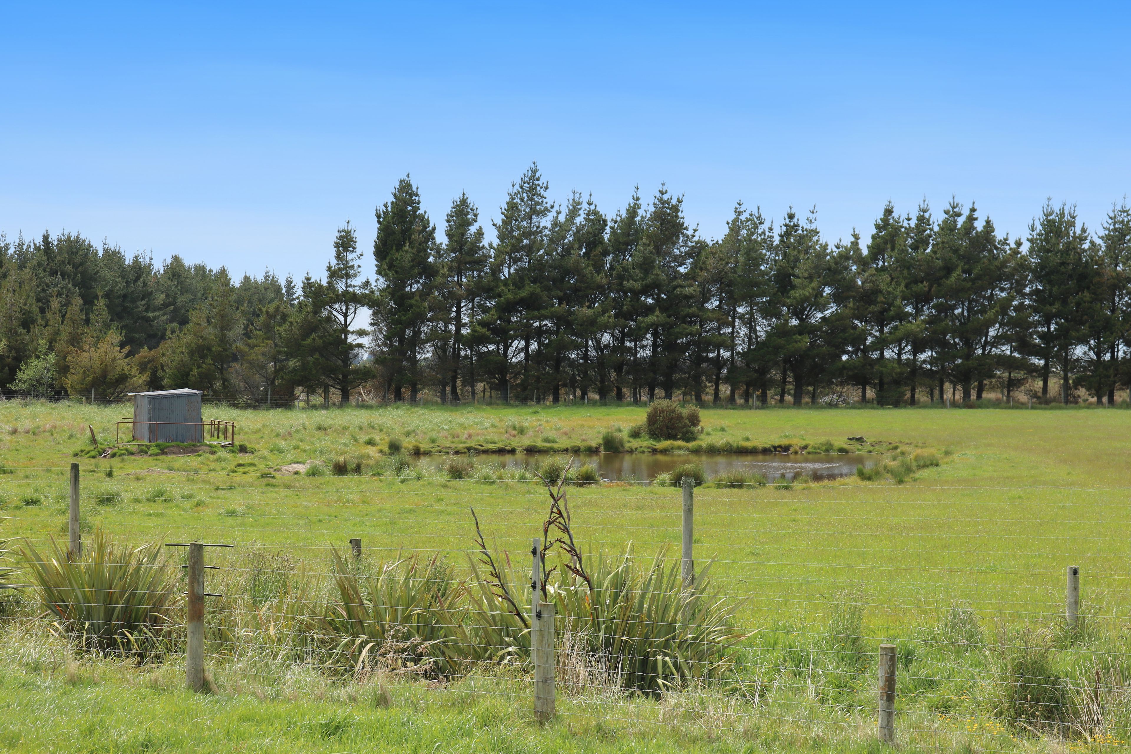 Invercargill Central, Invercargill