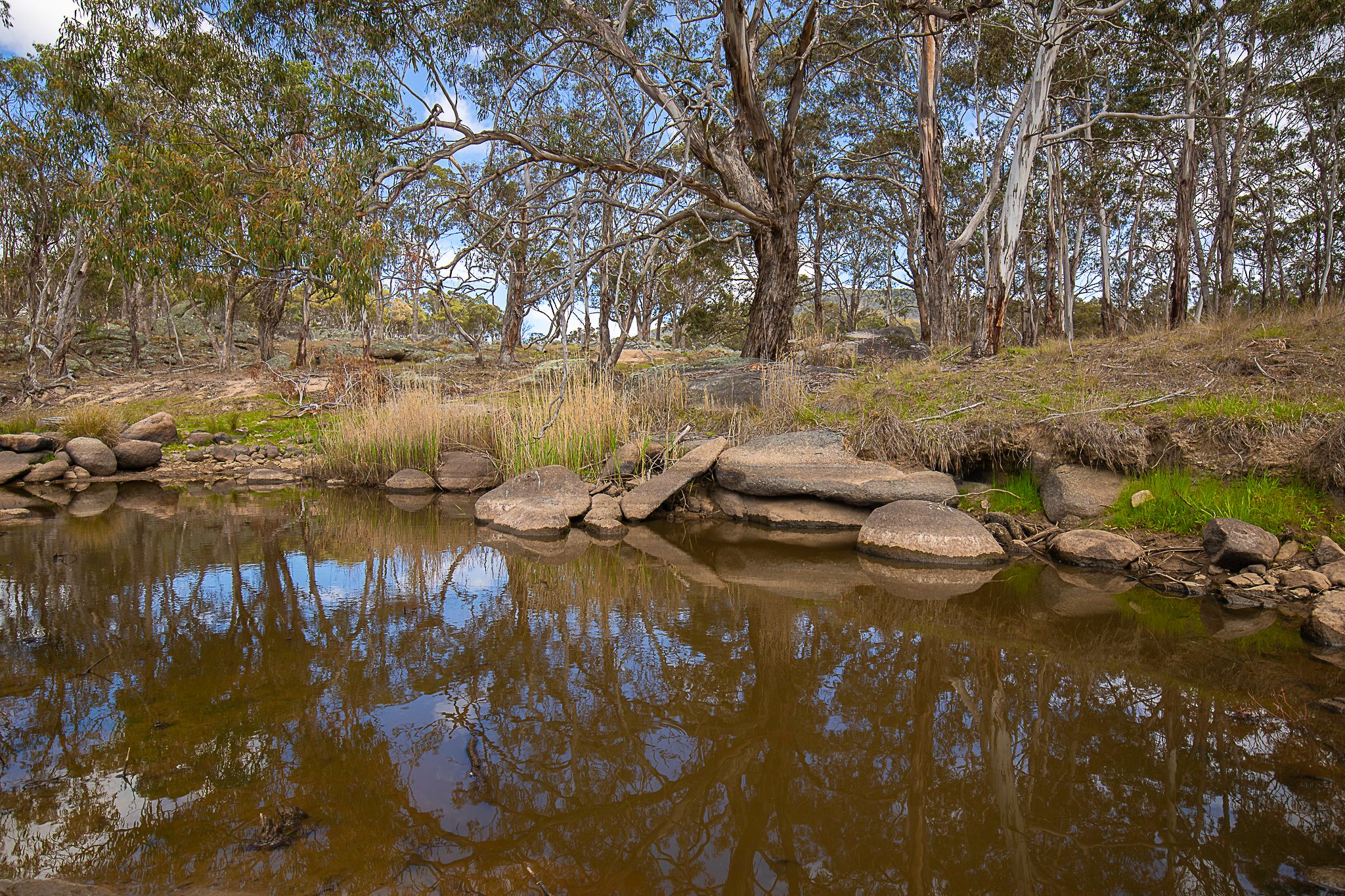 "Araluen" 11623 New England Highway — photo 28 of 30