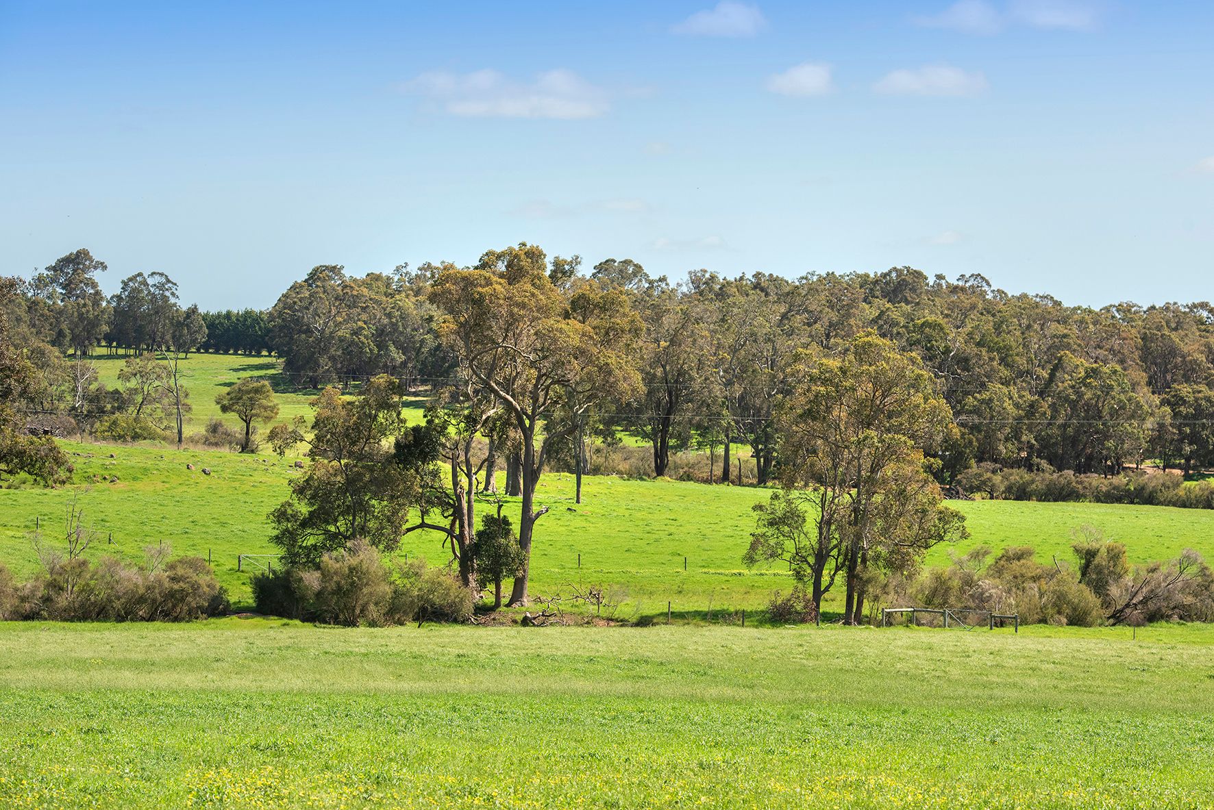 Lot 2223 Treeton Road, Treeton, WA 6284