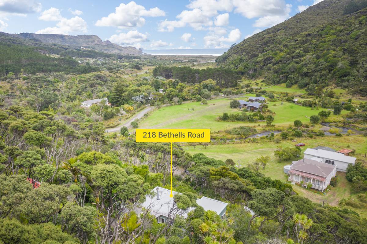 218 Bethells Road, Bethells Beach, Waitakere City Real Estate Ray
