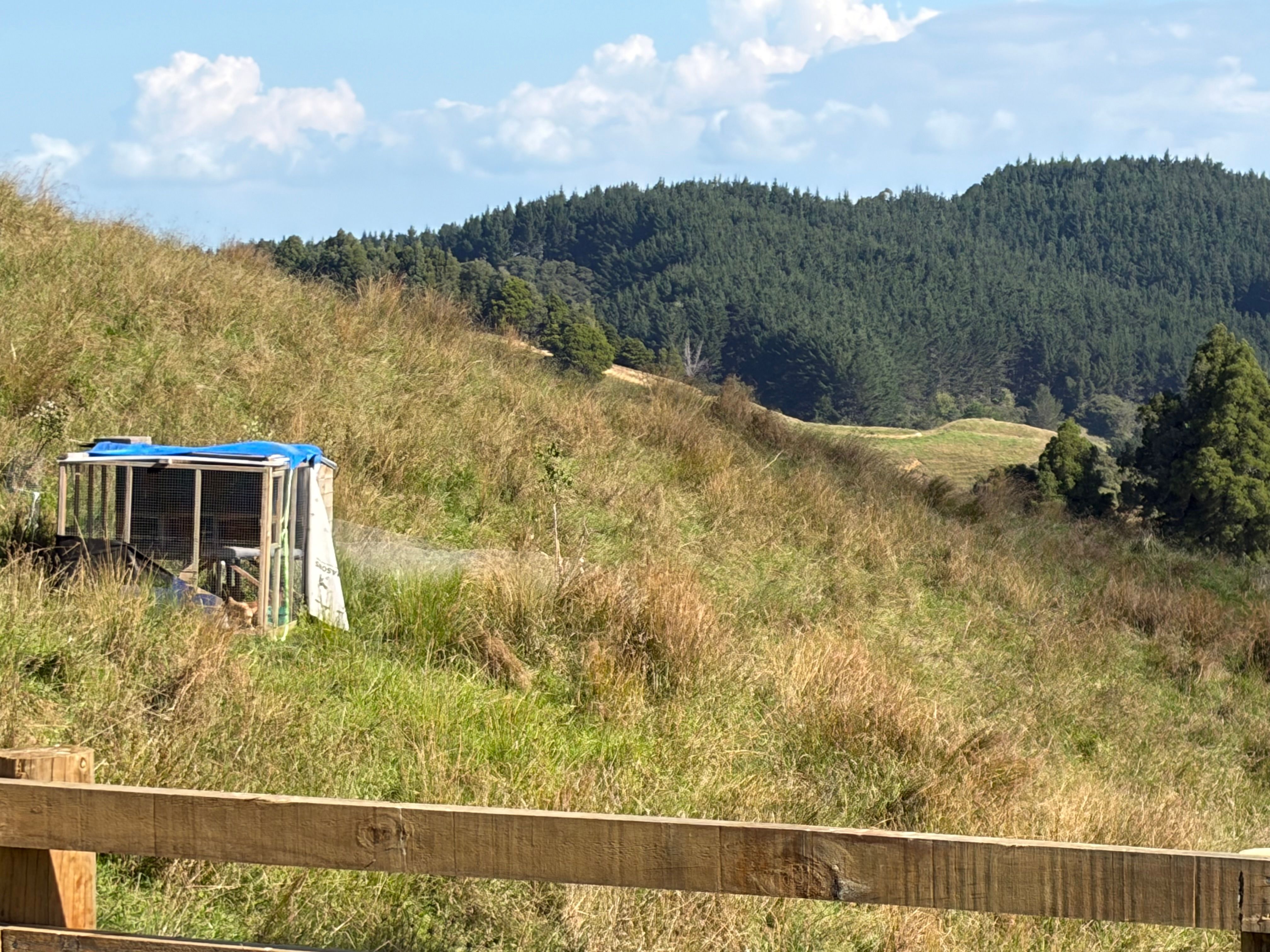 138 Wech Access Road, Makarau, Rodney