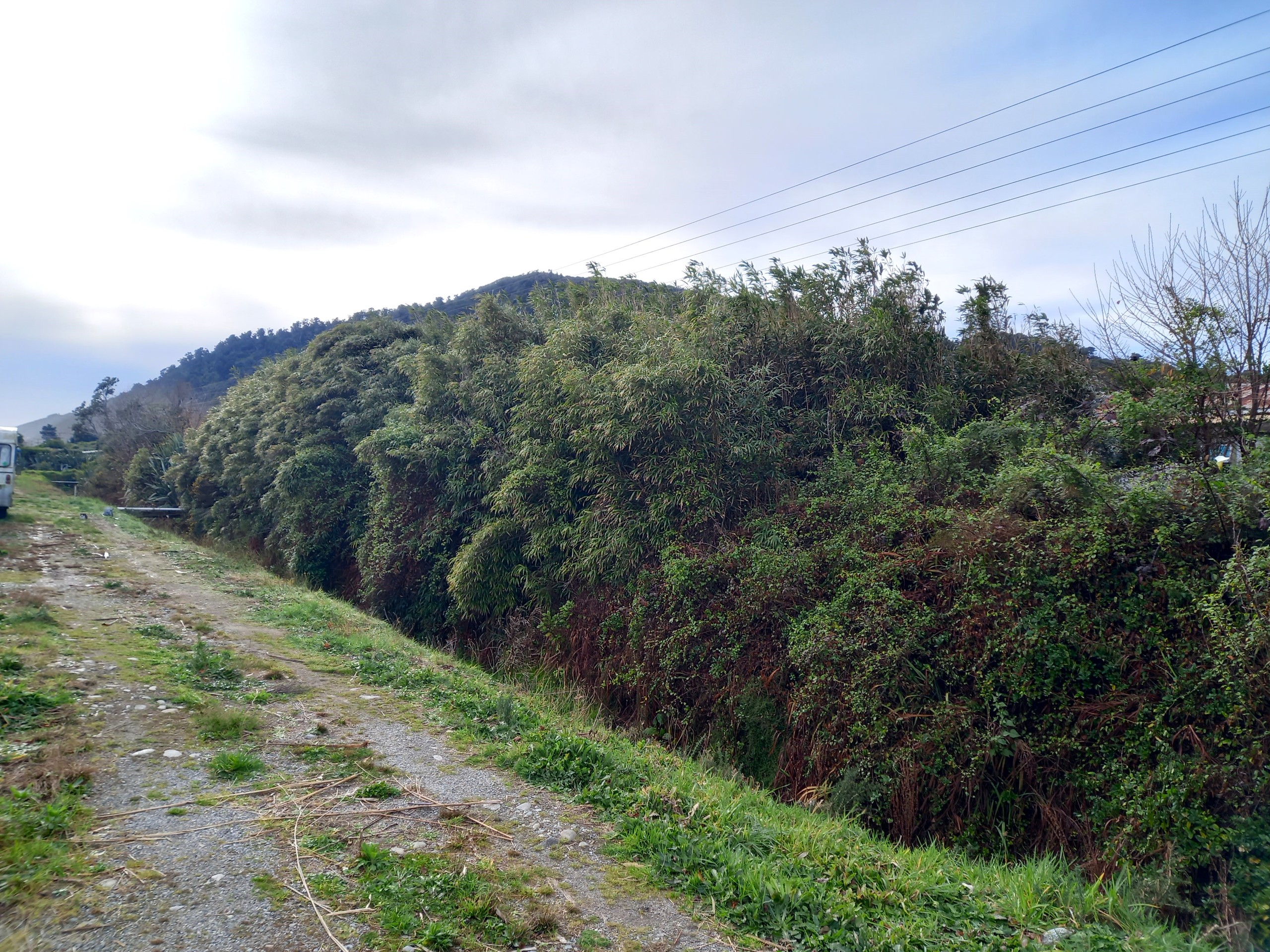 Lot 2/0 Greenfield Street, Hector, Buller District