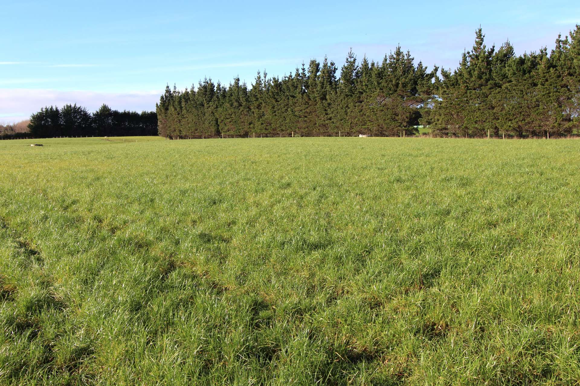Lot 2 Oteramika Road photo 3