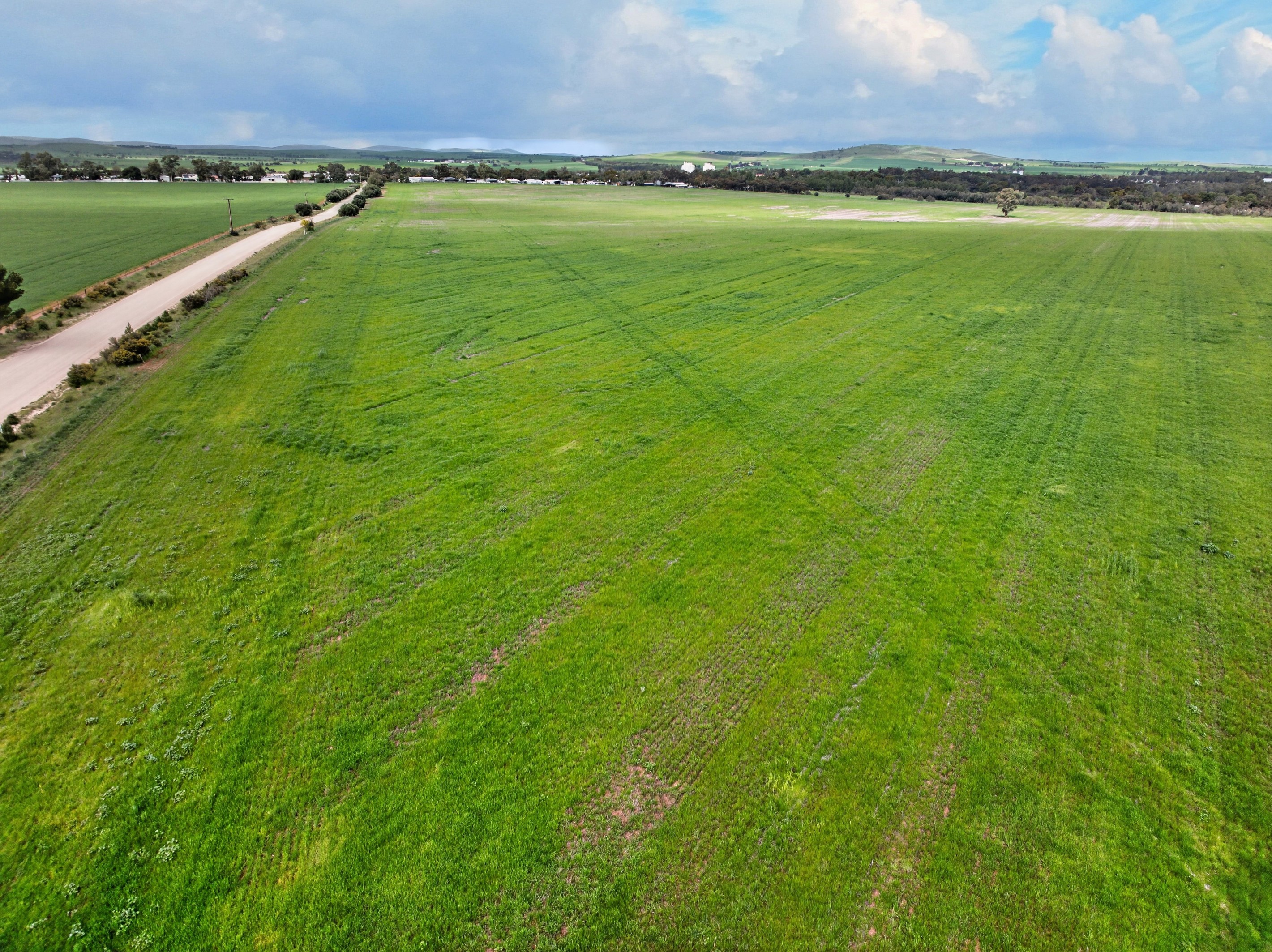 'Molino' Black Road, Gladstone, SA 5473