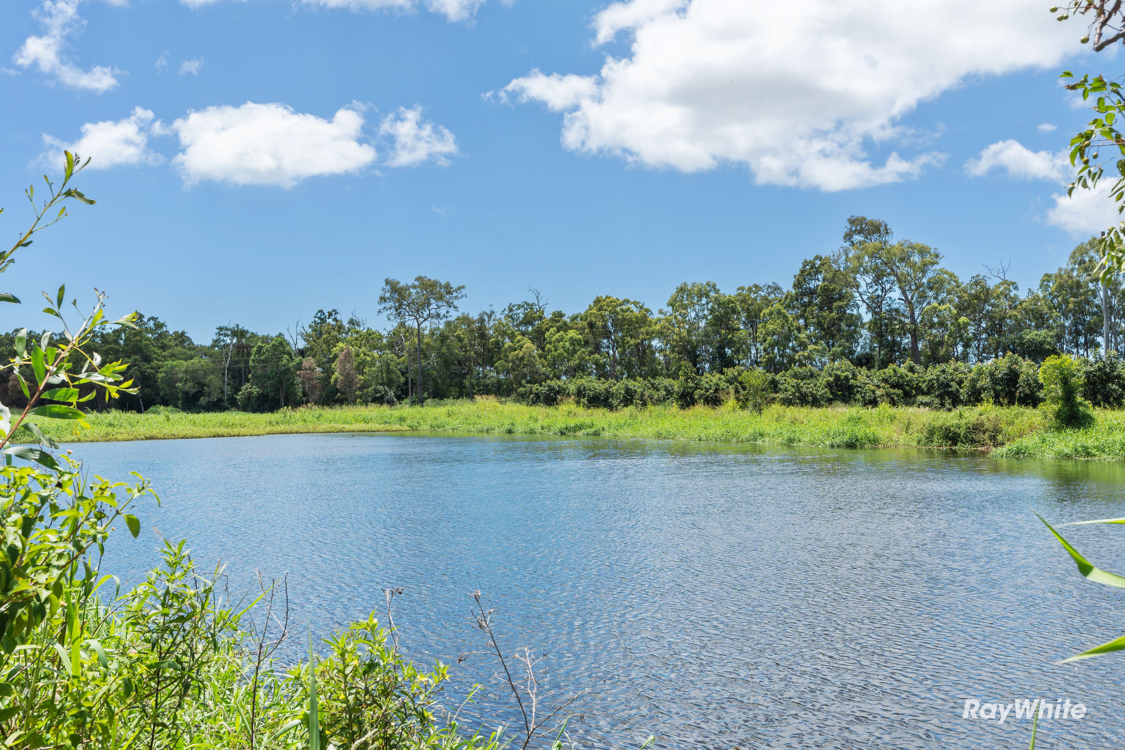 6 Pashleys Road, Creek, QLD 4670 Acreage/SemiRural for Sale Ray White Bargara