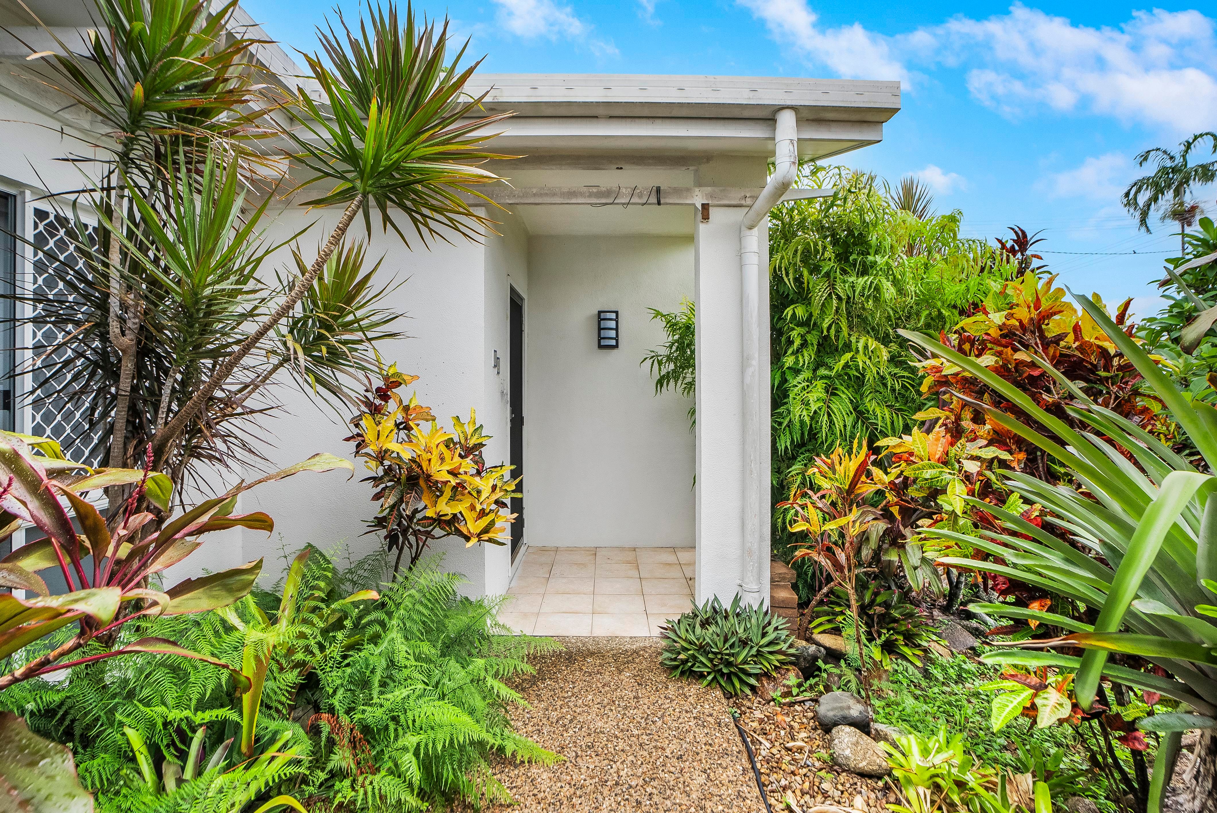 19 Thais Street, Palm Cove, QLD 4879