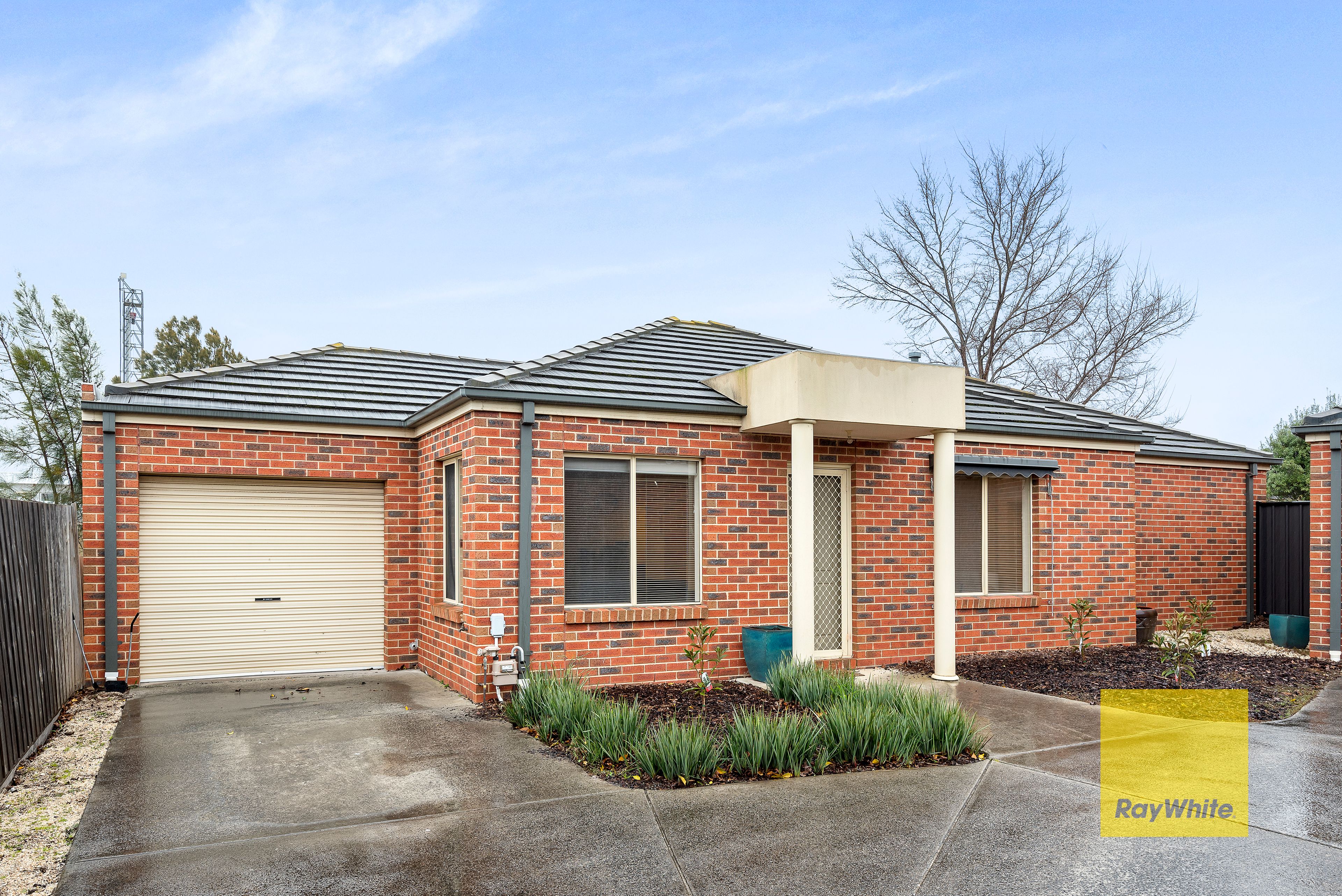 15 Arbour Grove, Belmont VIC 3216