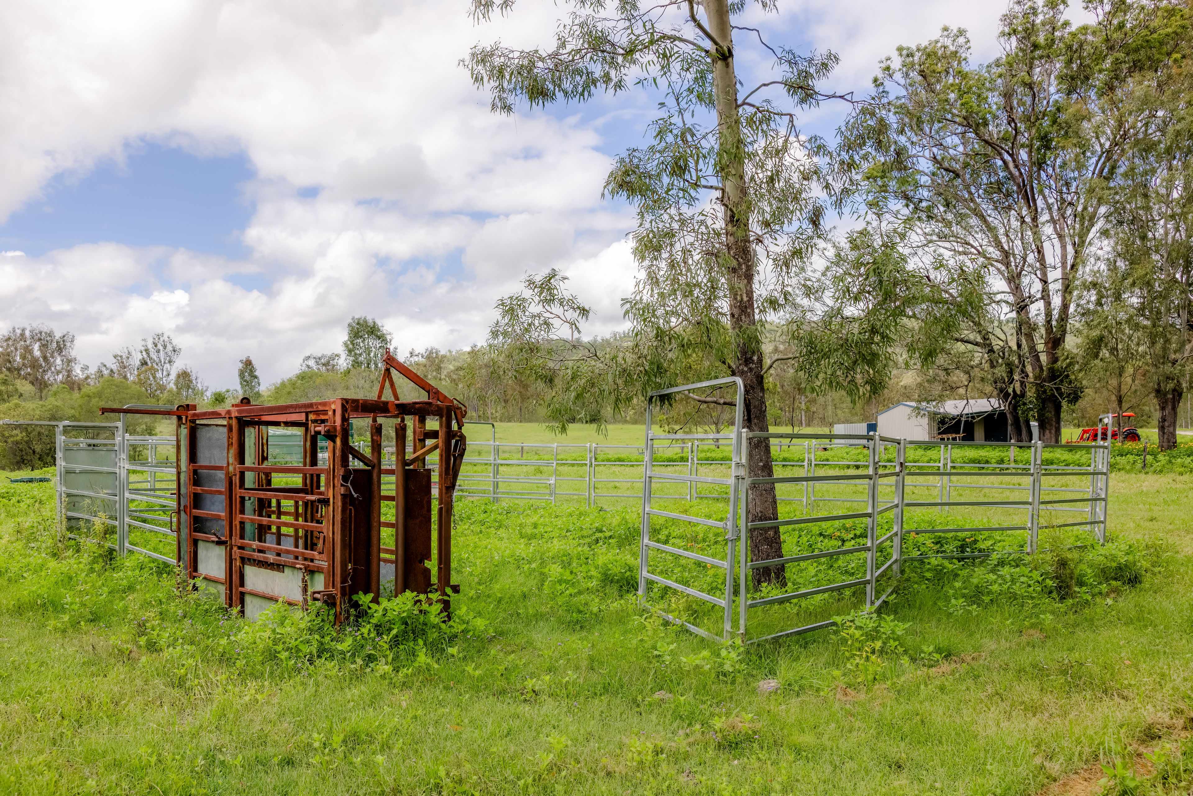 0 Tunnel Road, Wonbah, QLD 4671 Rural Property for Sale Ray White