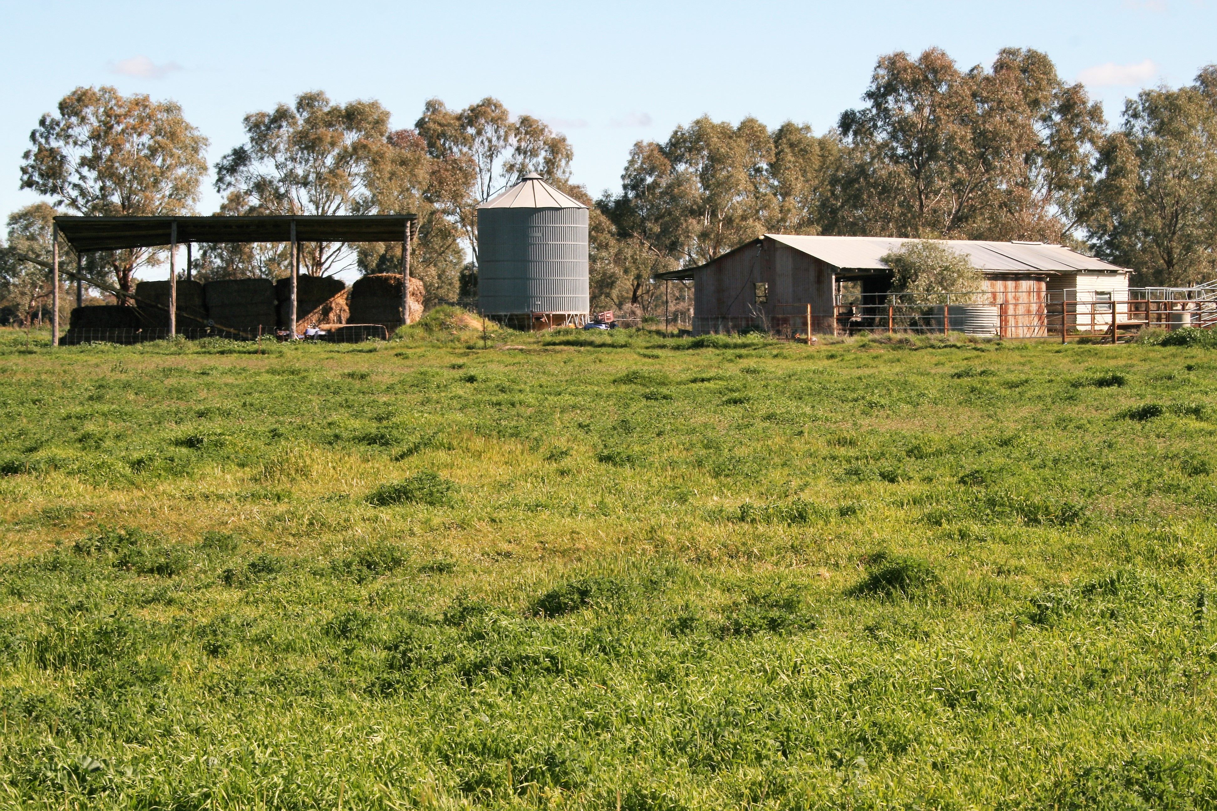 00 Minard Lane, Bamawm, VIC 3561