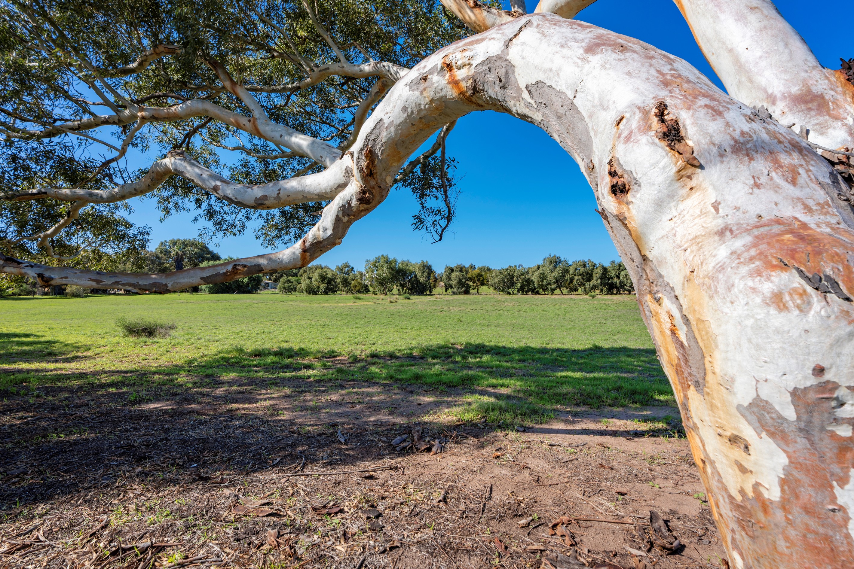 1038C Chapman Road, Glenfield, WA 6532