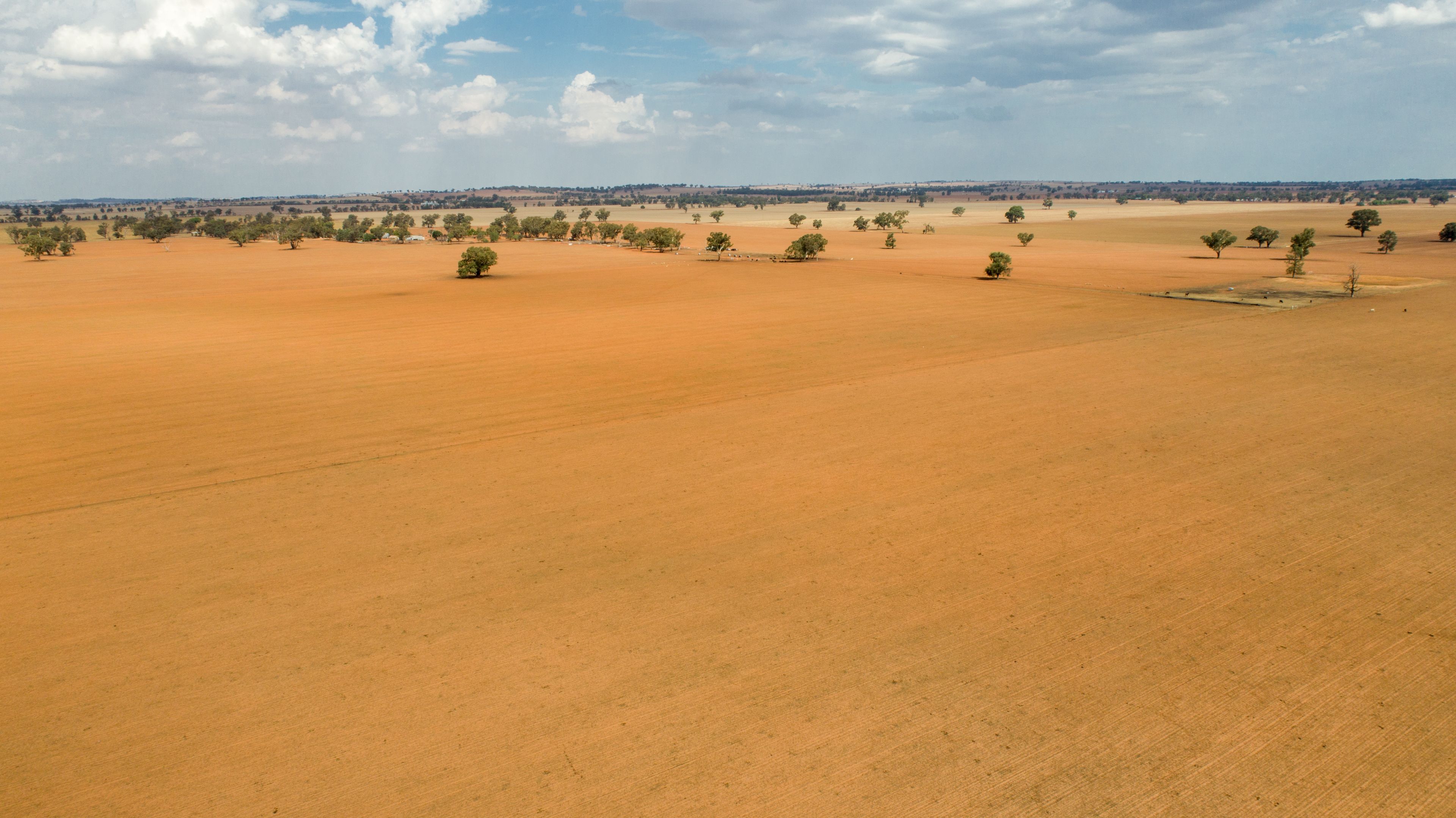 , Coolamon, NSW Rural • Ray White