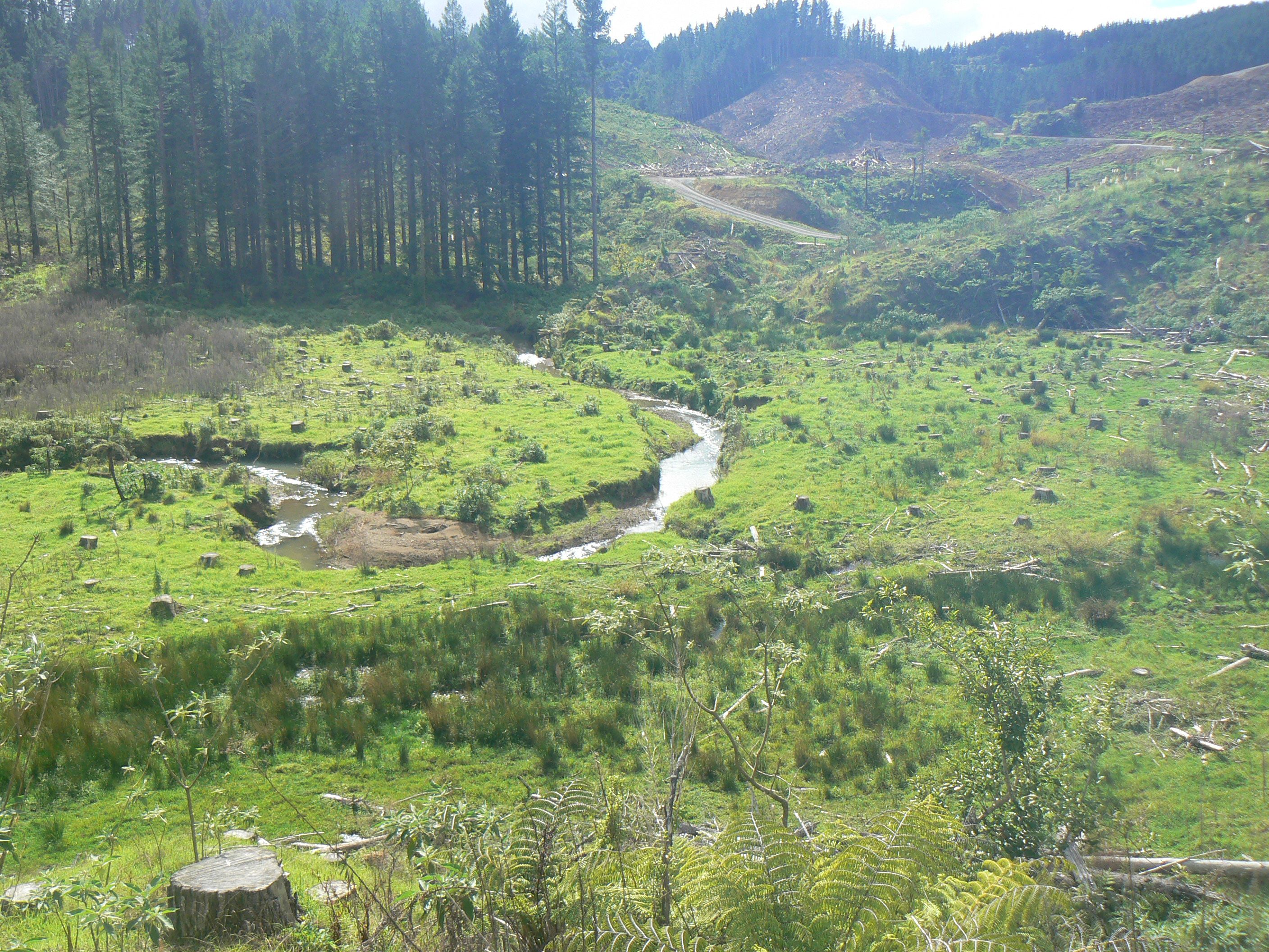 Lot 27 Iwitaua Road, Mangamuka, Far North District