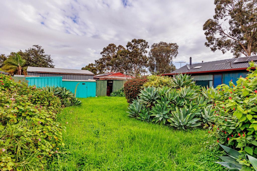 15 Harold Road — photo 18 of 20