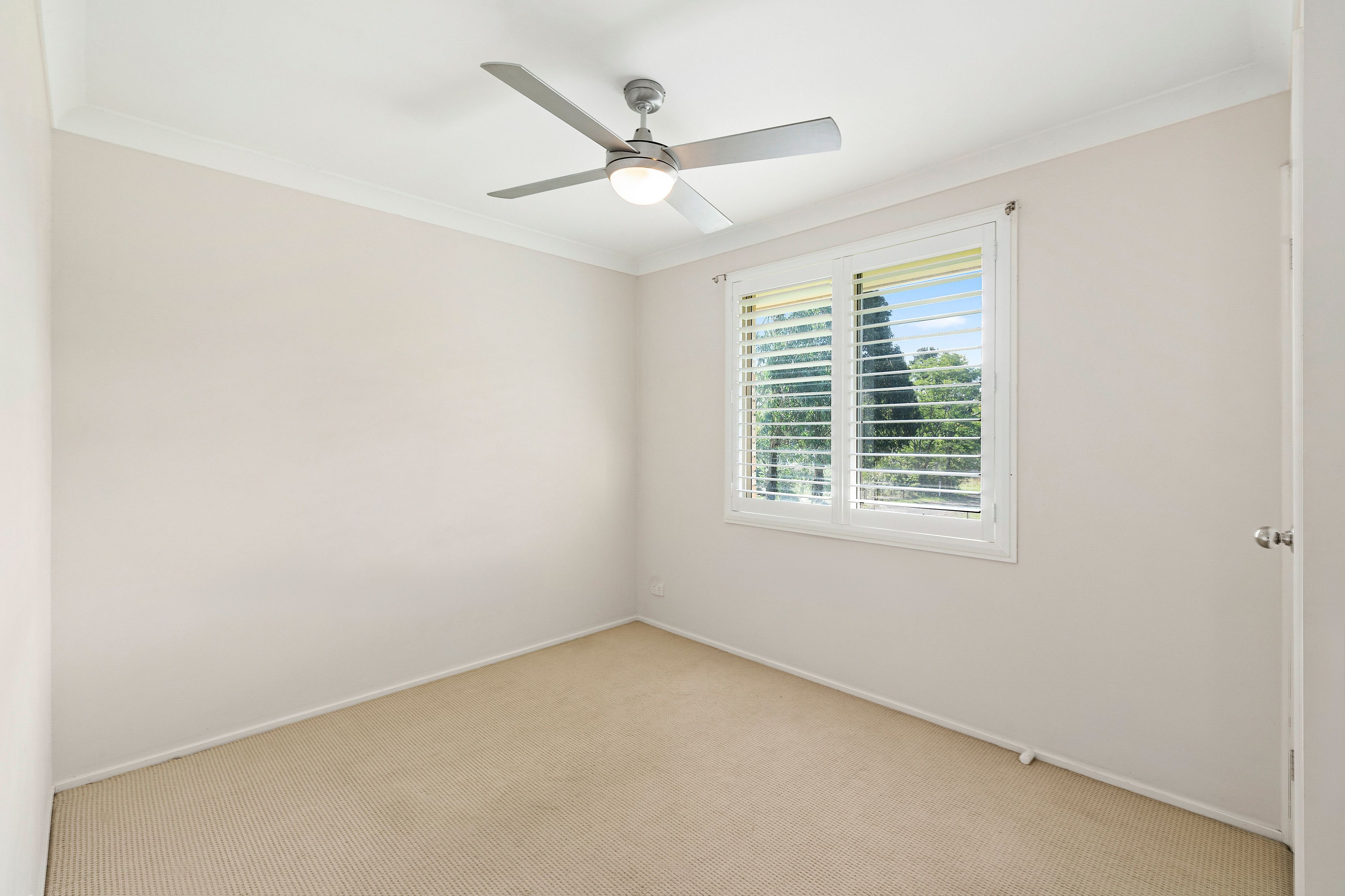 81 Camden Street — photo 13 of 17
