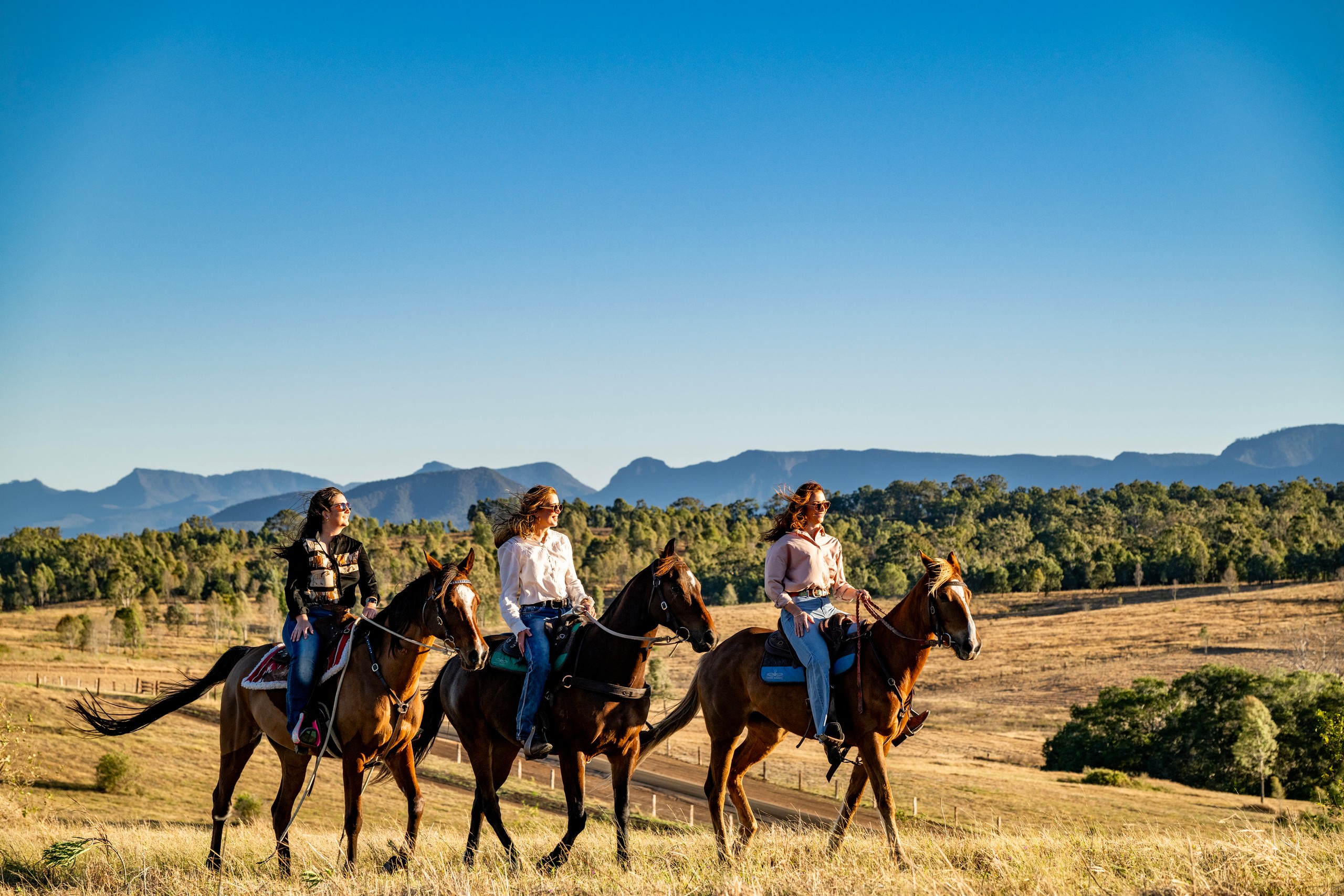 2584 Rosewood-Warrill View Road, Coleyville, QLD 4307